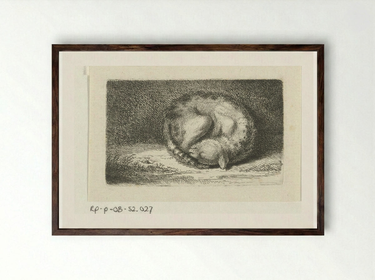 Slapende kat (Sleeping Cat) - Jacob Folkema - Framed Print Dark Wood