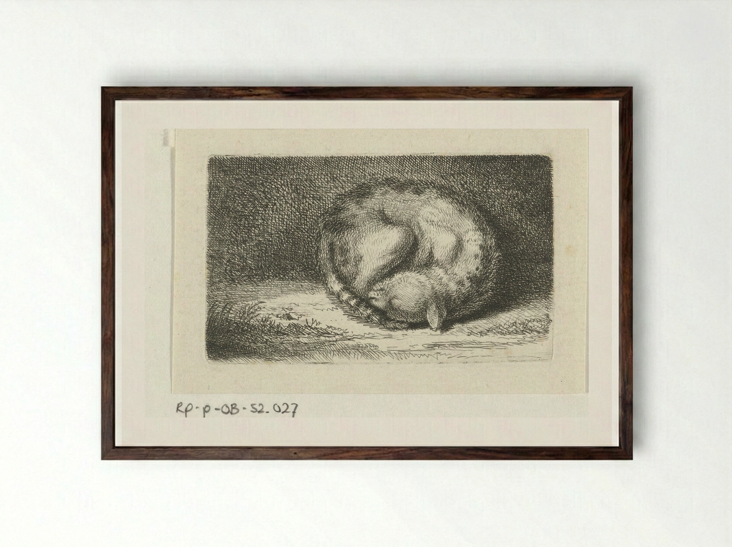Slapende kat (Sleeping Cat) - Jacob Folkema - Framed Print Dark Wood