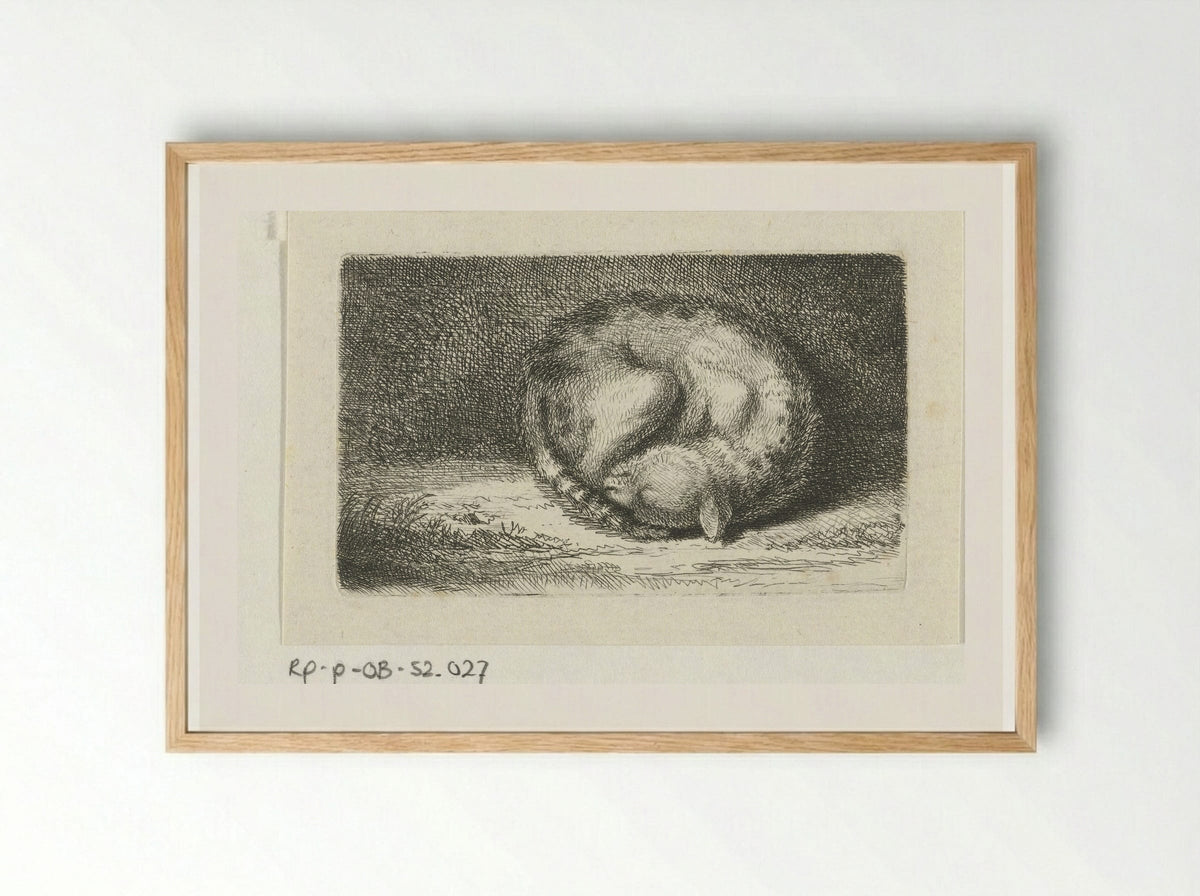 Slapende kat (Sleeping Cat) - Jacob Folkema - Framed Print Wood