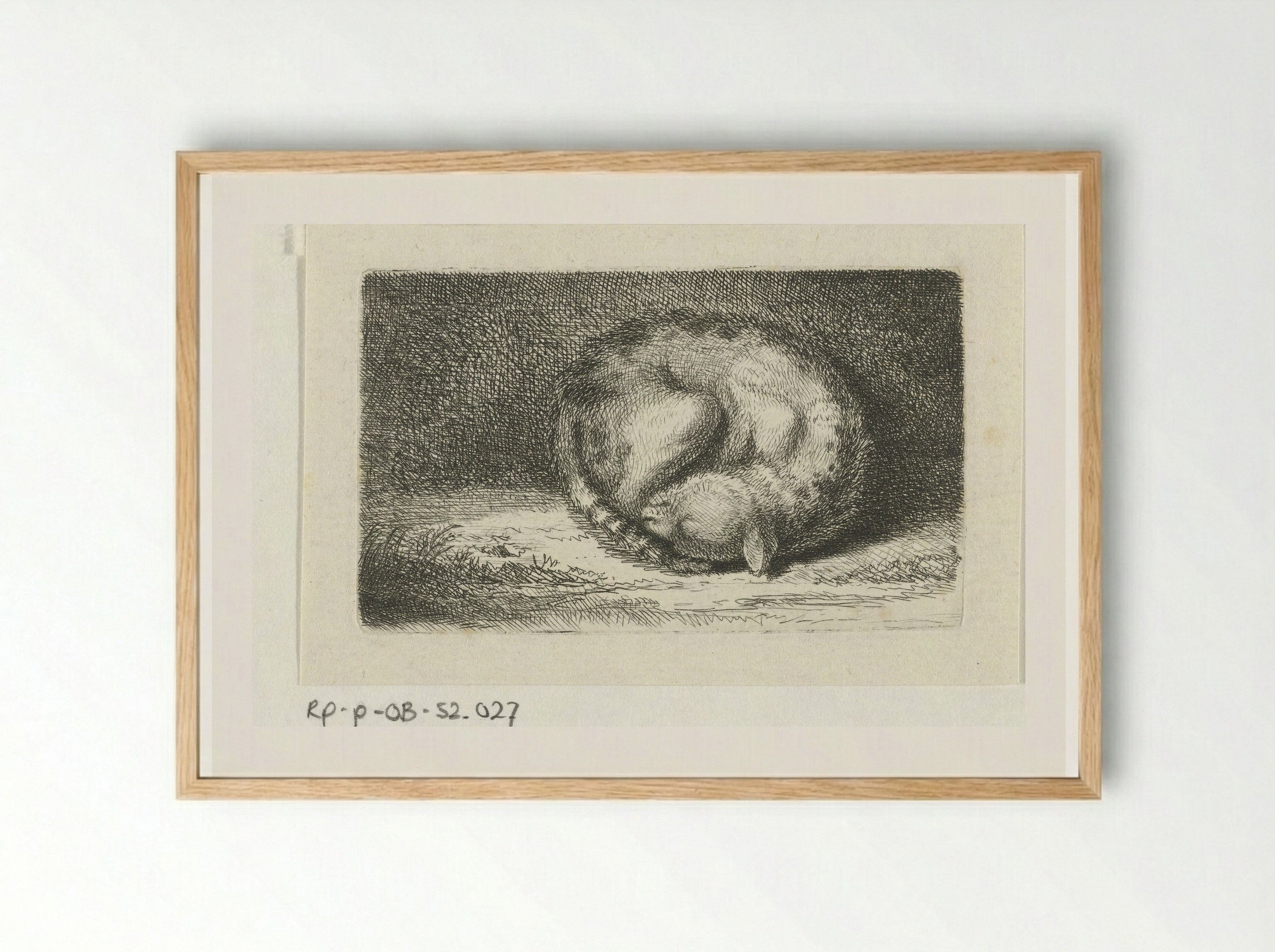 Slapende kat (Sleeping Cat) - Jacob Folkema - Framed Print Wood