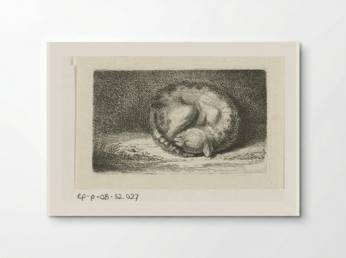 Slapende kat (Sleeping Cat) - Jacob Folkema - Poster