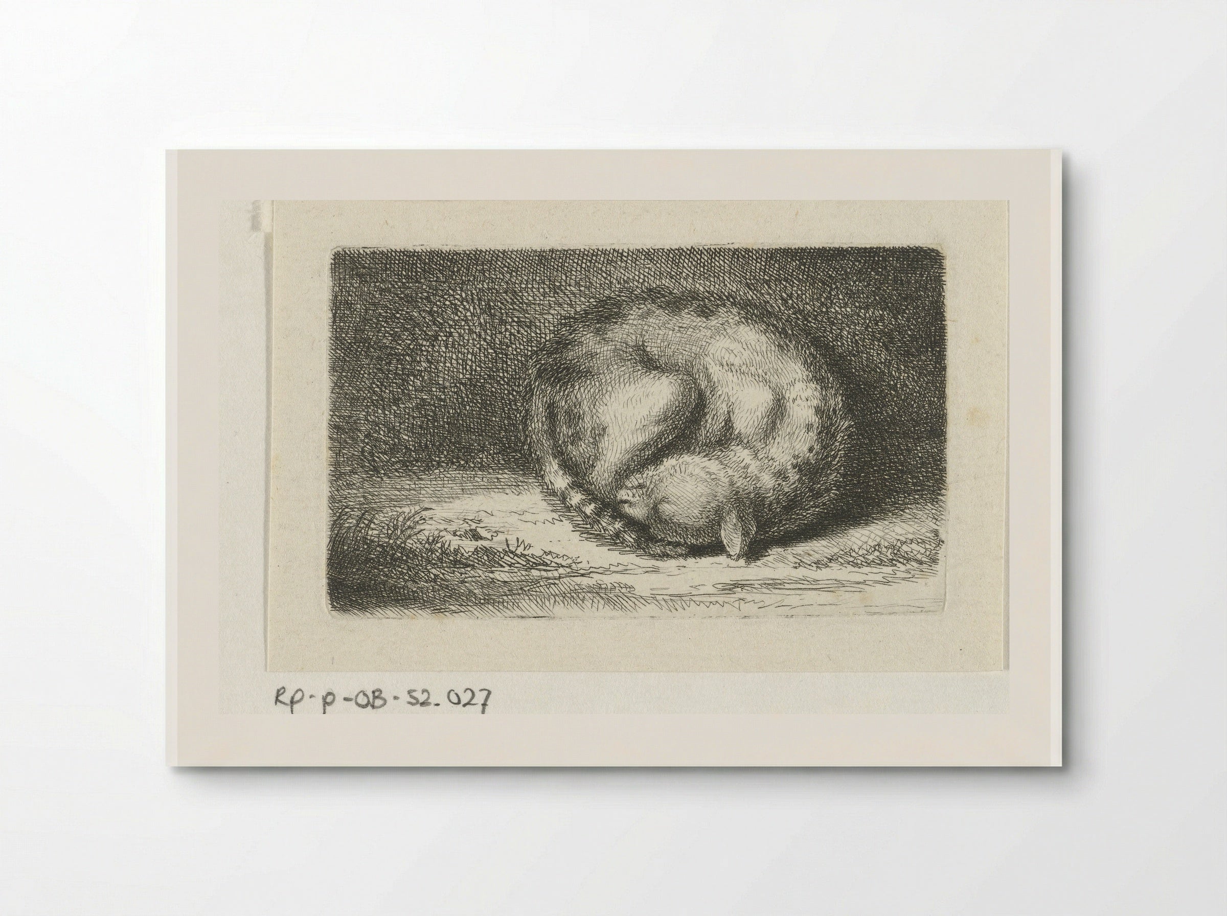 Slapende kat (Sleeping Cat) - Jacob Folkema - Poster
