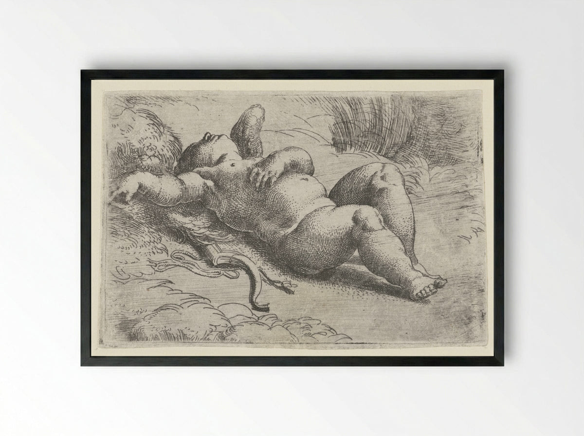 Sleeping Cupid - Parmigianino - Framed Print Black