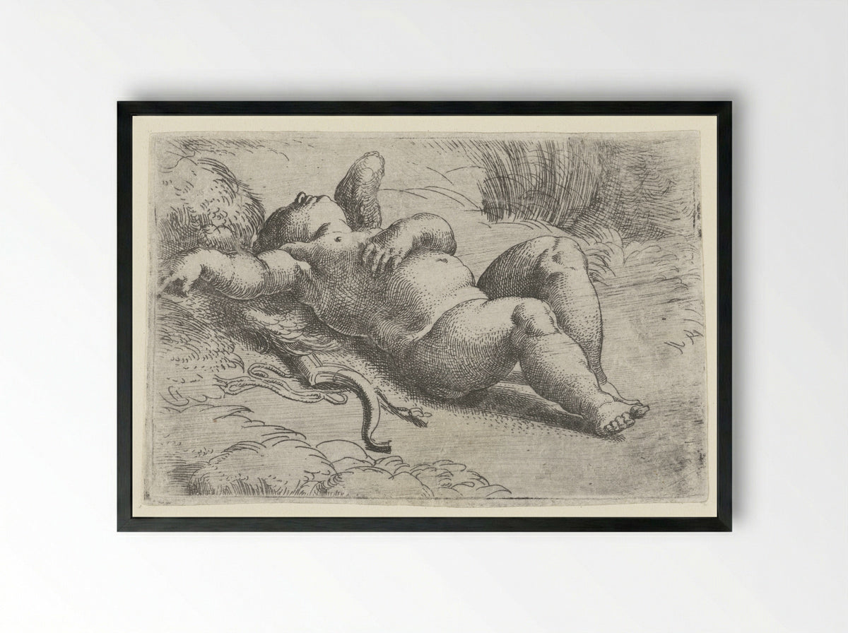 Sleeping Cupid - Parmigianino - Framed Print Black