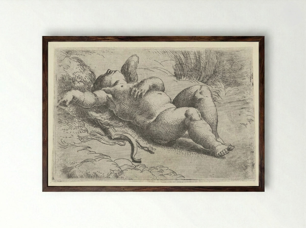 Sleeping Cupid - Parmigianino - Framed Print Dark Wood