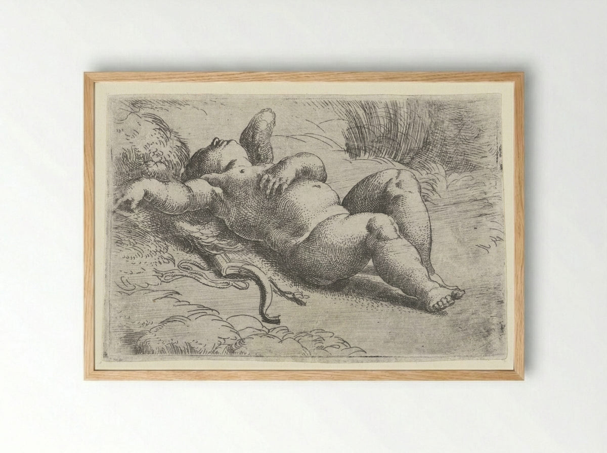 Sleeping Cupid - Parmigianino - Framed Print Wood
