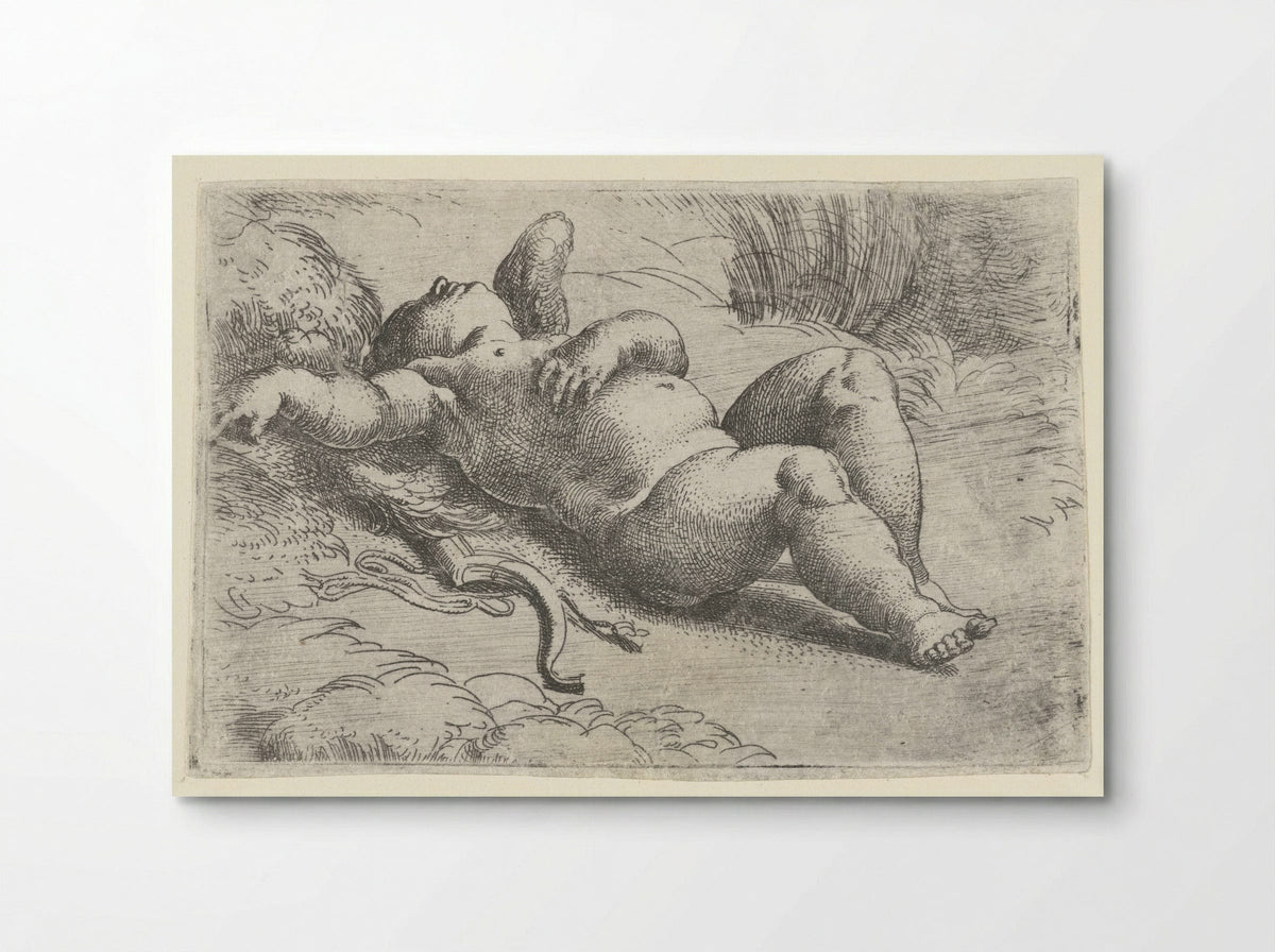 Sleeping Cupid - Parmigianino - Poster