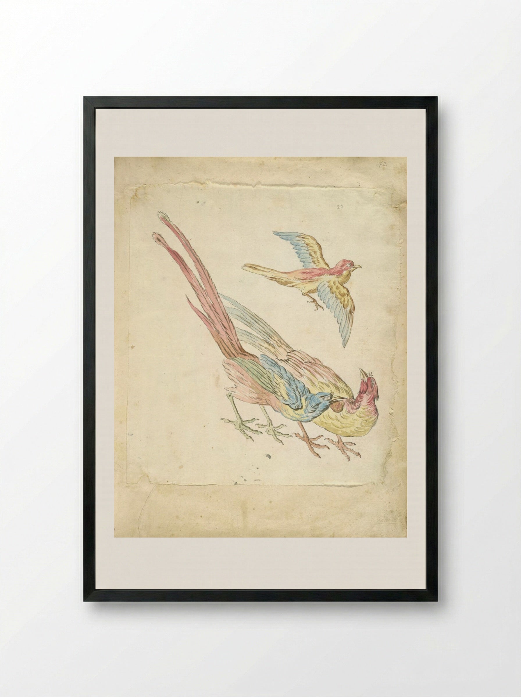 Small Bird in Flight above Two Pheasants - Jean-Baptiste Oudry - Framed Print Black