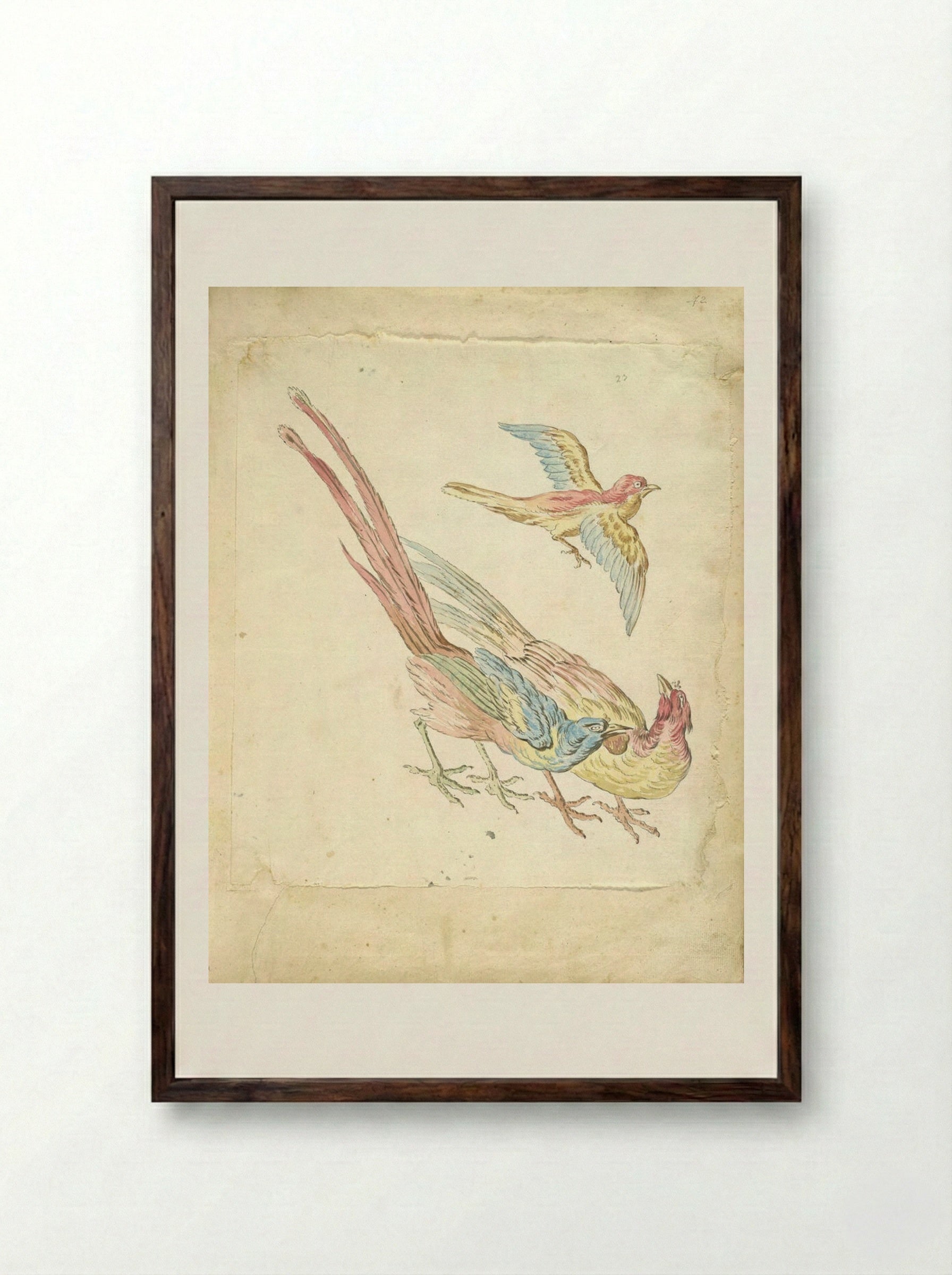 Small Bird in Flight above Two Pheasants - Jean-Baptiste Oudry - Framed Print Dark Wood