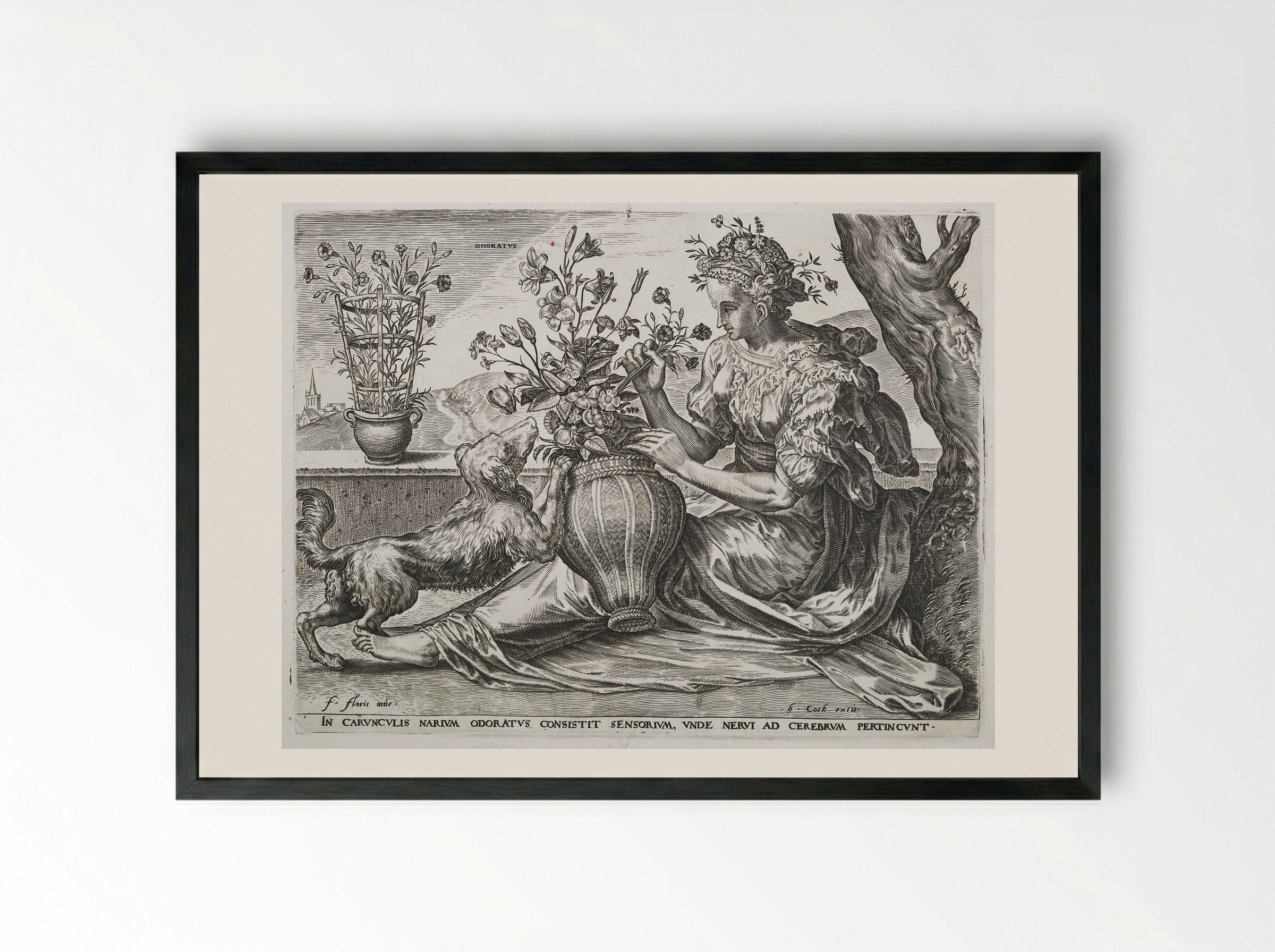 Smell (from The Five Senses) - Cornelis Cort - Framed Print Black