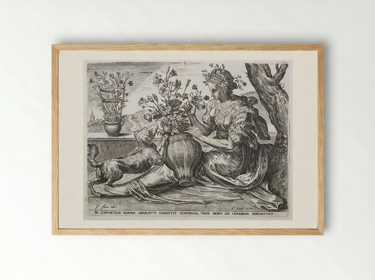 Smell (from The Five Senses) - Cornelis Cort - Framed Print Wood