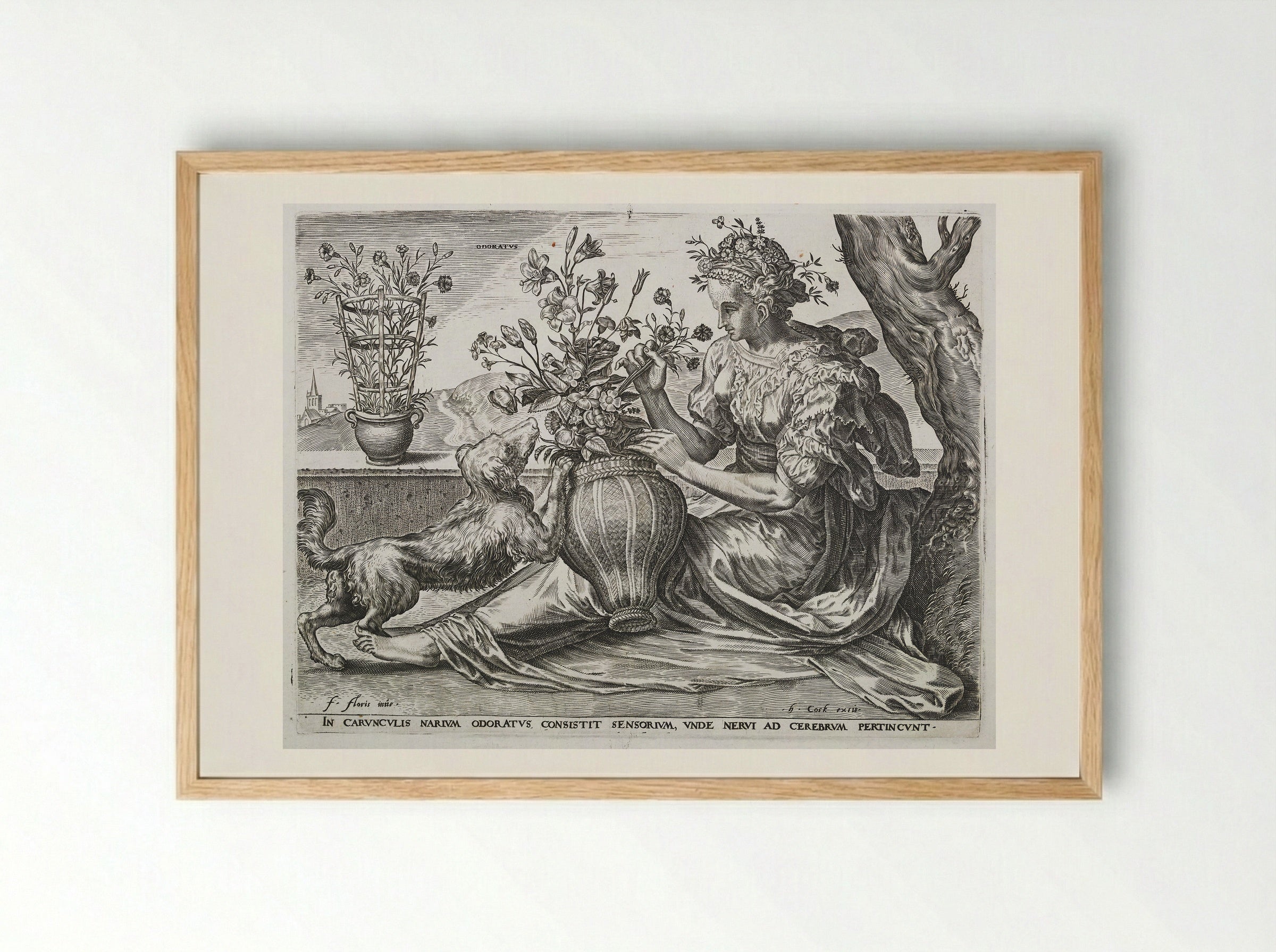 Smell (from The Five Senses) - Cornelis Cort - Framed Print Wood