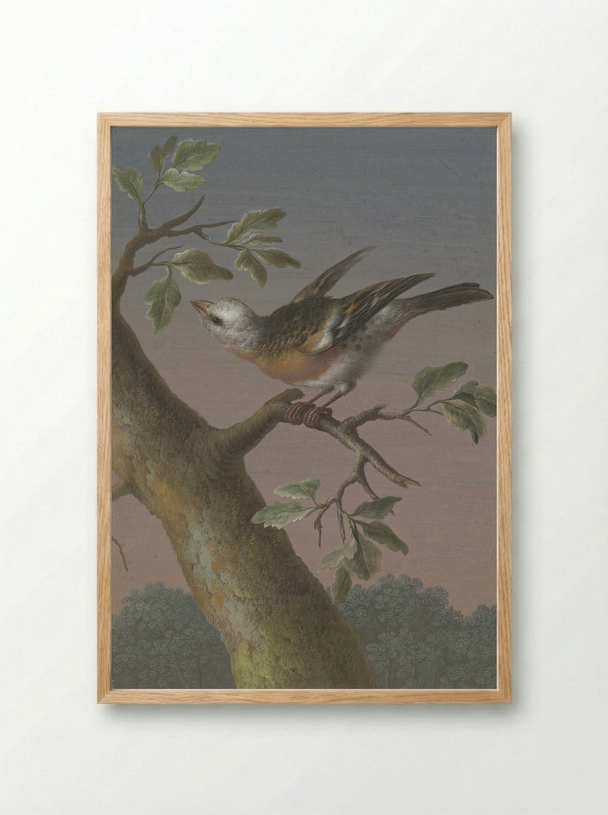 Sneeuwgors (Snow Bunting) - Barbara Regina Dietzsch - Framed Print Wood