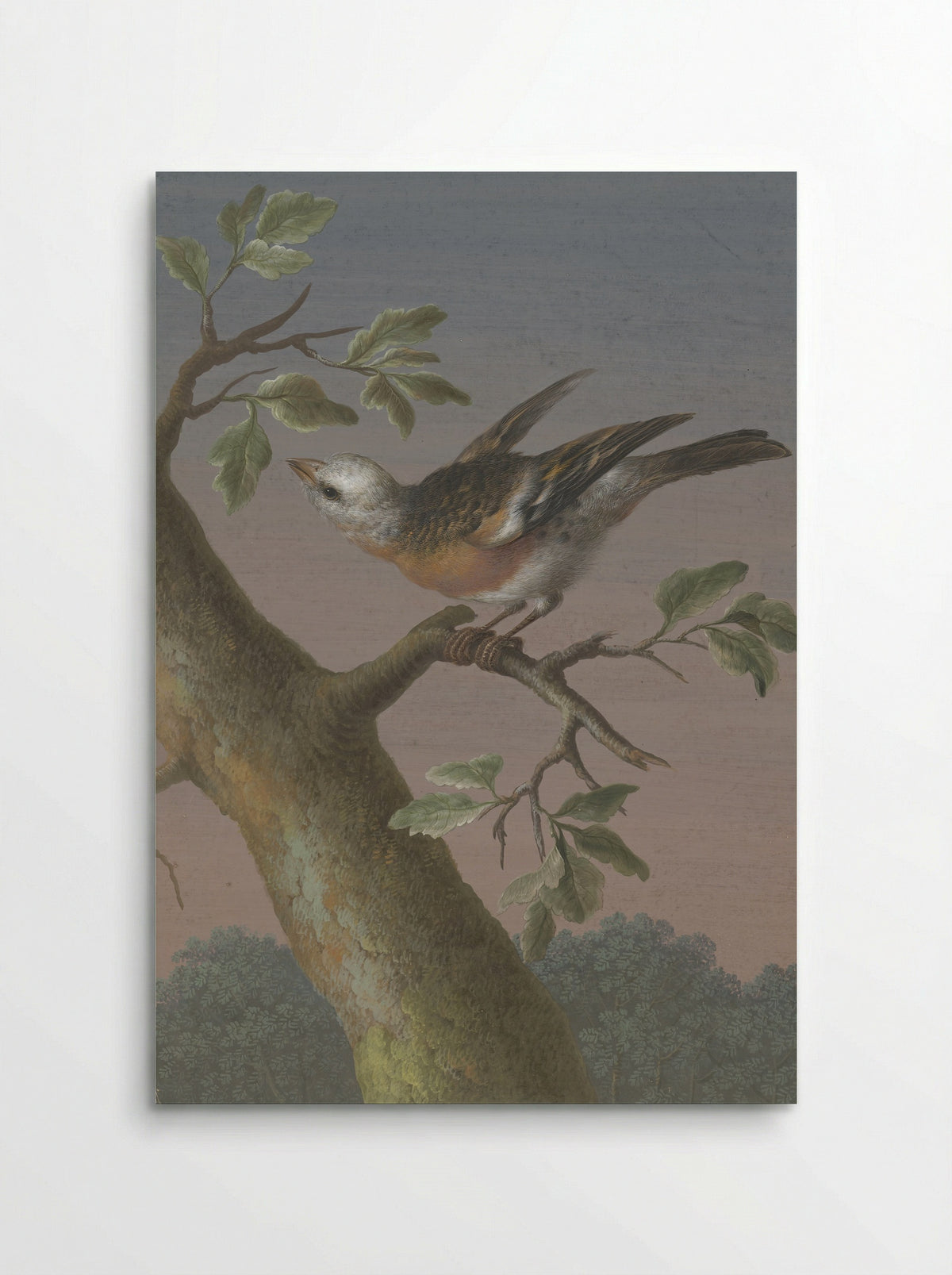 Sneeuwgors (Snow Bunting) - Barbara Regina Dietzsch - Poster