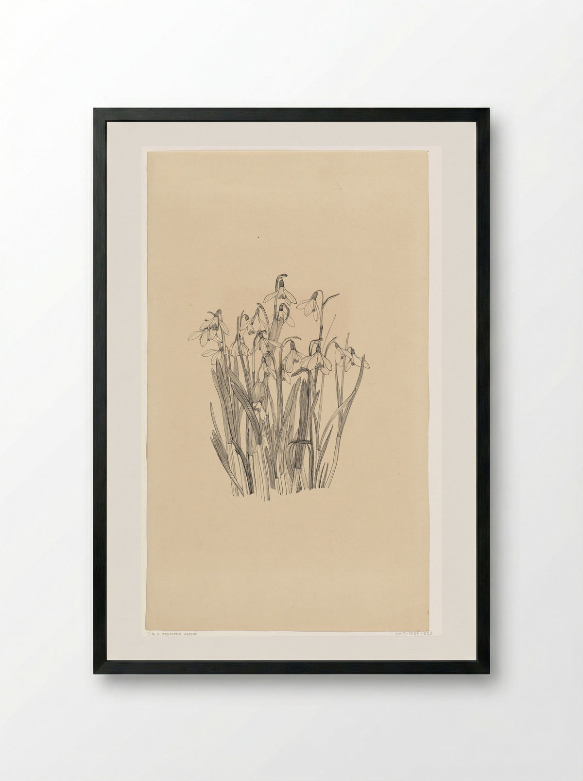 Sneeuwklokjes - Johanna Quirina van Regteren Altena - Framed Print Black
