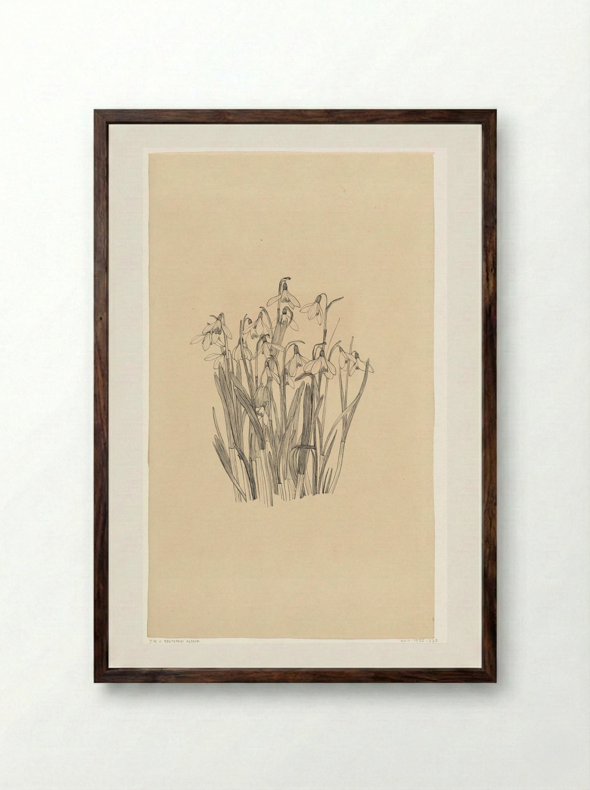 Sneeuwklokjes - Johanna Quirina van Regteren Altena - Framed Print Dark Wood