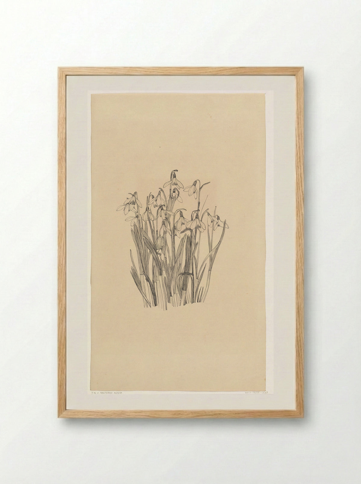 Sneeuwklokjes - Johanna Quirina van Regteren Altena - Framed Print Wood