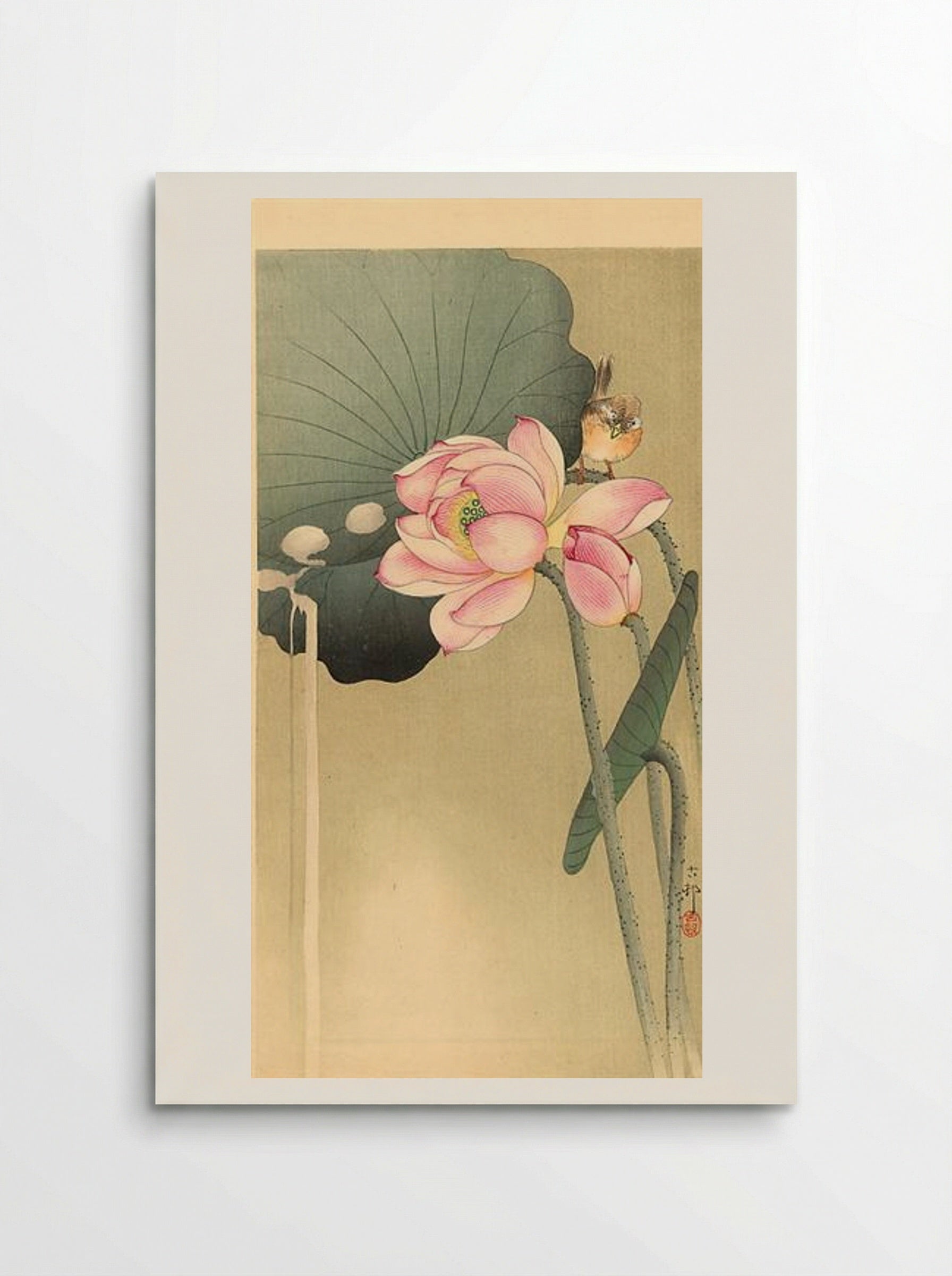 Songbird and Lotus - Ohara Koson - Poster