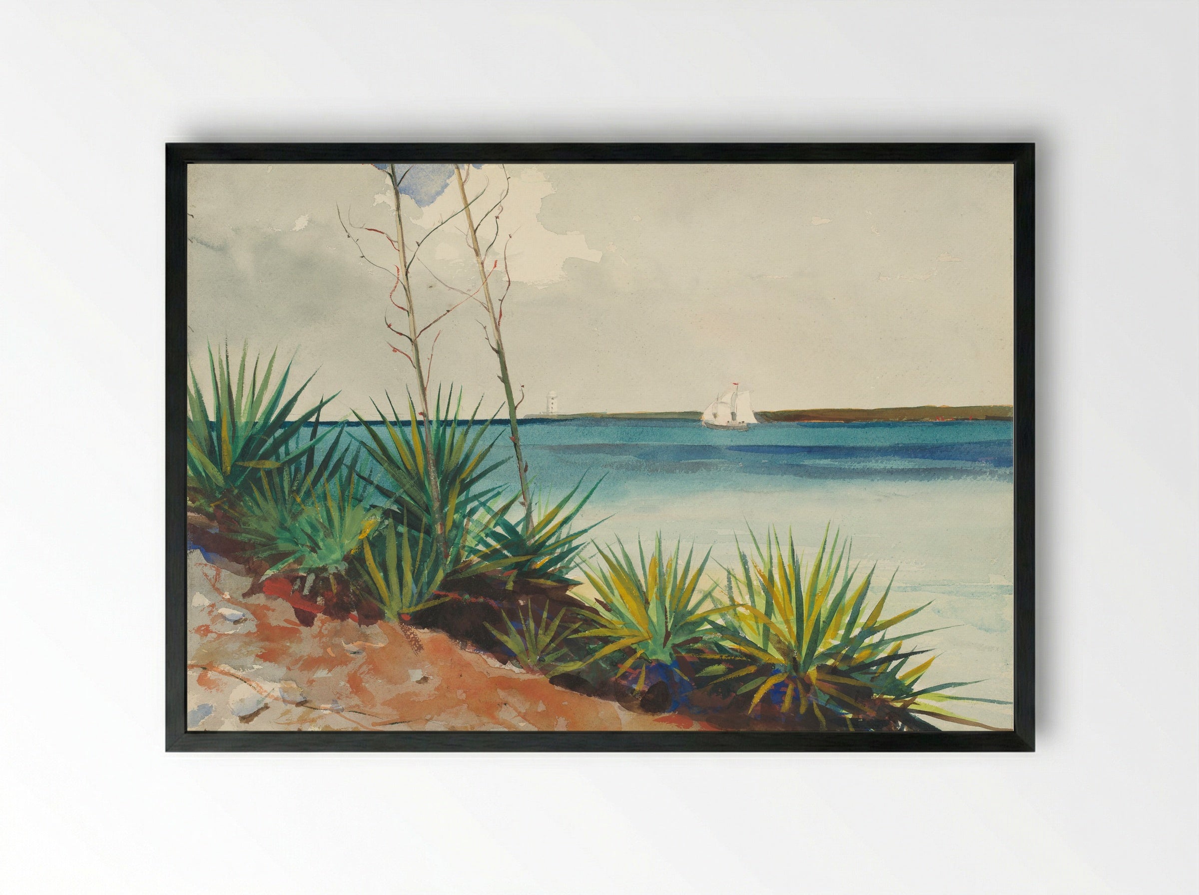 Spanish Bayonets - Winslow Homer - Framed Print Black