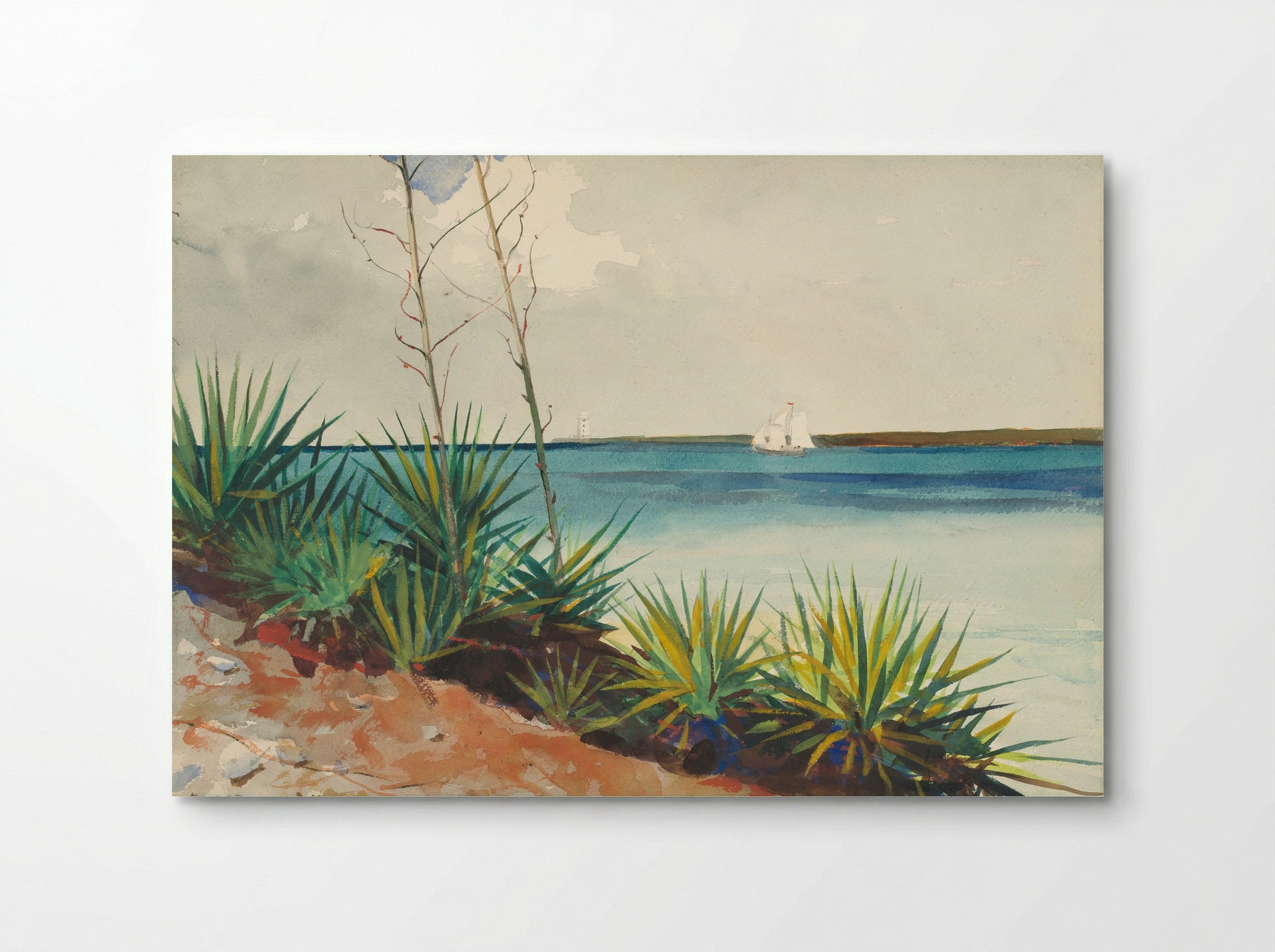 Spanish Bayonets - Winslow Homer - Poster