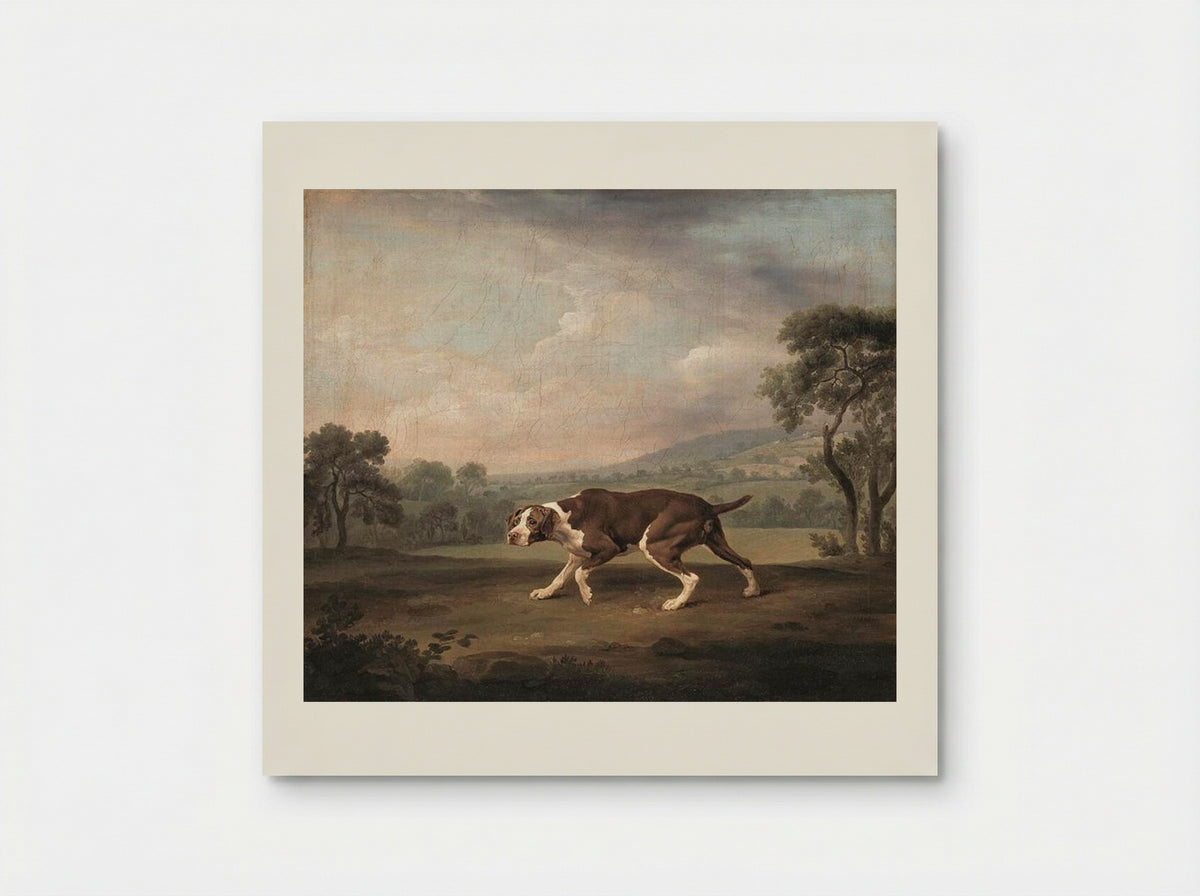 Spanish Pointer - George Stubbs - Poster