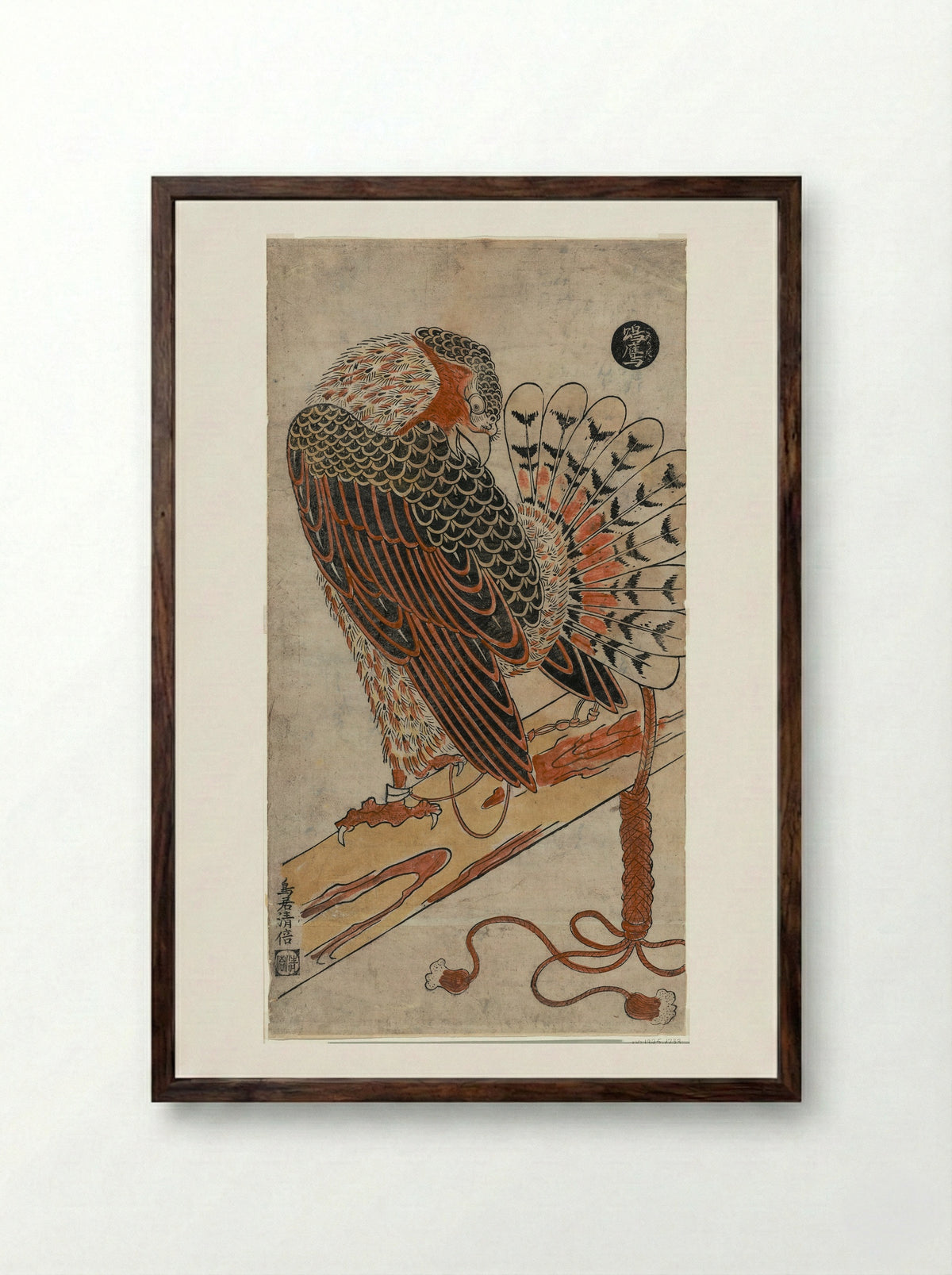 Sparrowhawk (Konori taka) - Torii Kiyomasu I - Framed Print Dark Wood