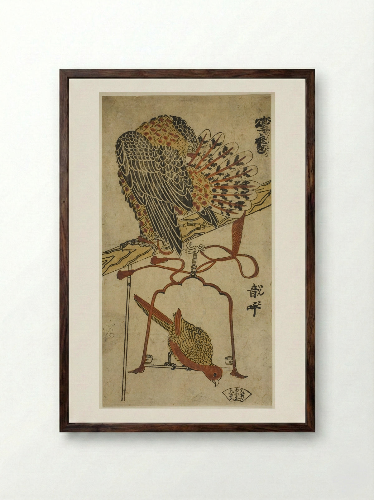 Sparrowhawk and Macaw - Torii Kiyomasu I - Framed Print Dark Wood