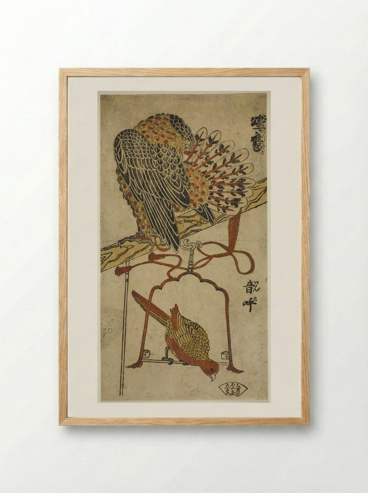 Sparrowhawk and Macaw - Torii Kiyomasu I - Framed Print Wood