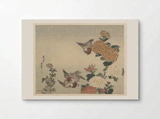 Sparrows and Chrysanthemums - Katsushika Hokusai