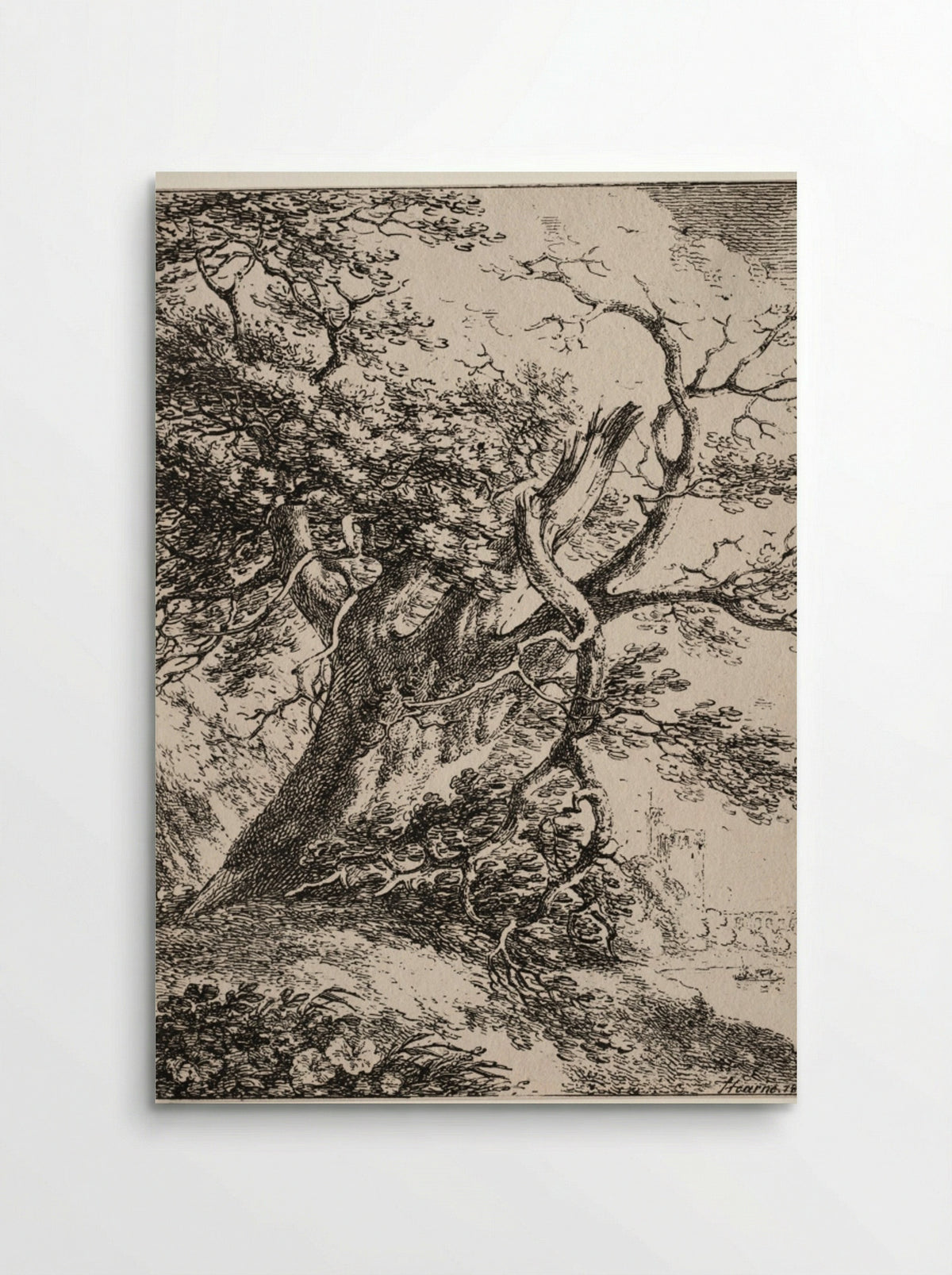 Specimens of Polyautography: Landscape with an Oak Tree - Thomas Hearne - Poster