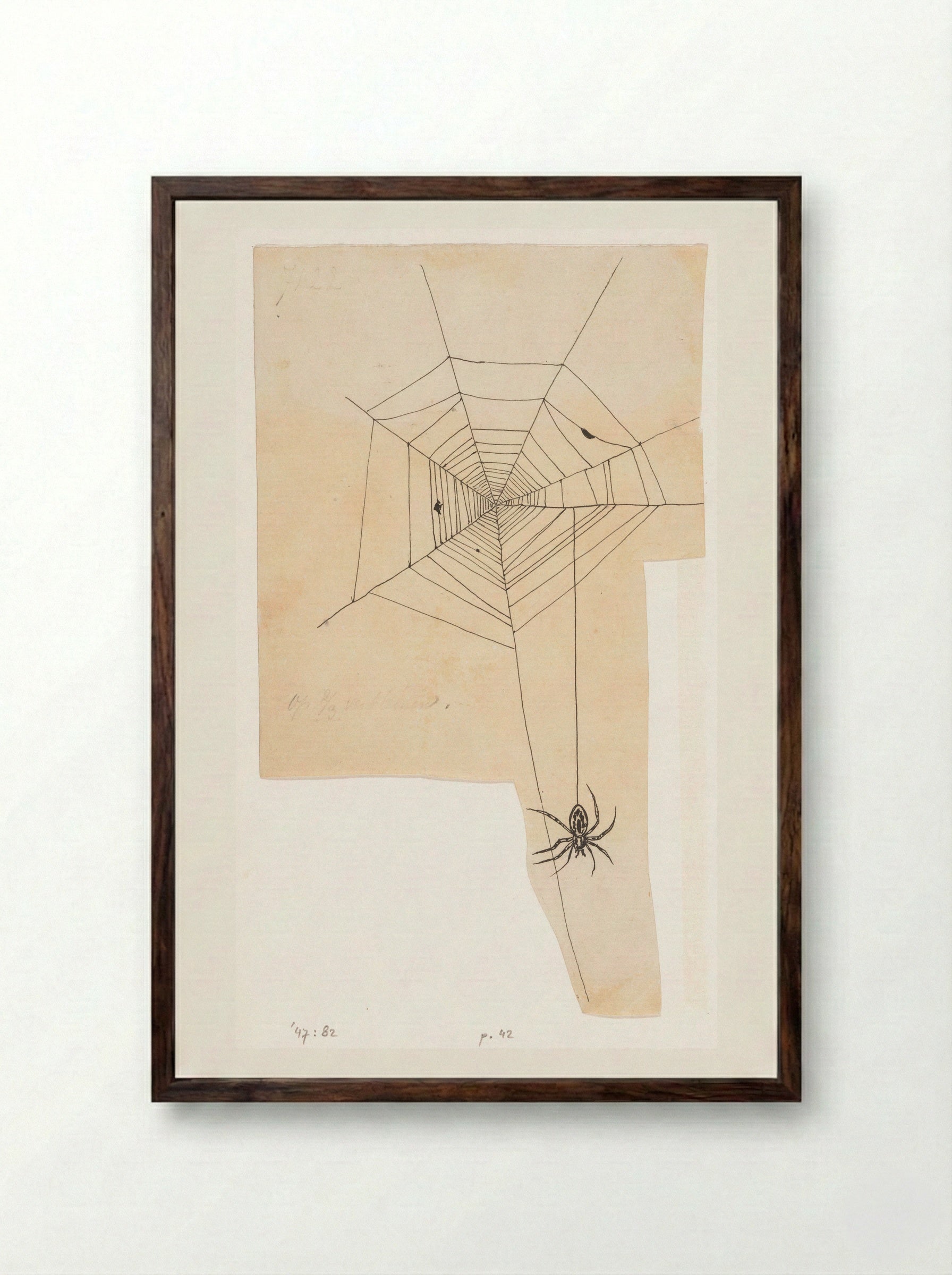 Spinnenweb (Spider Web) - Willem Wenckebach - Framed Print Dark Wood