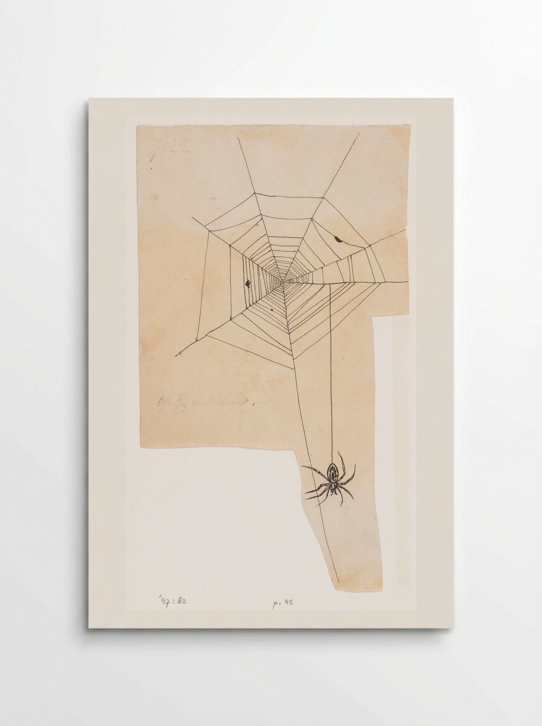 Spinnenweb (Spider Web) - Willem Wenckebach - Poster