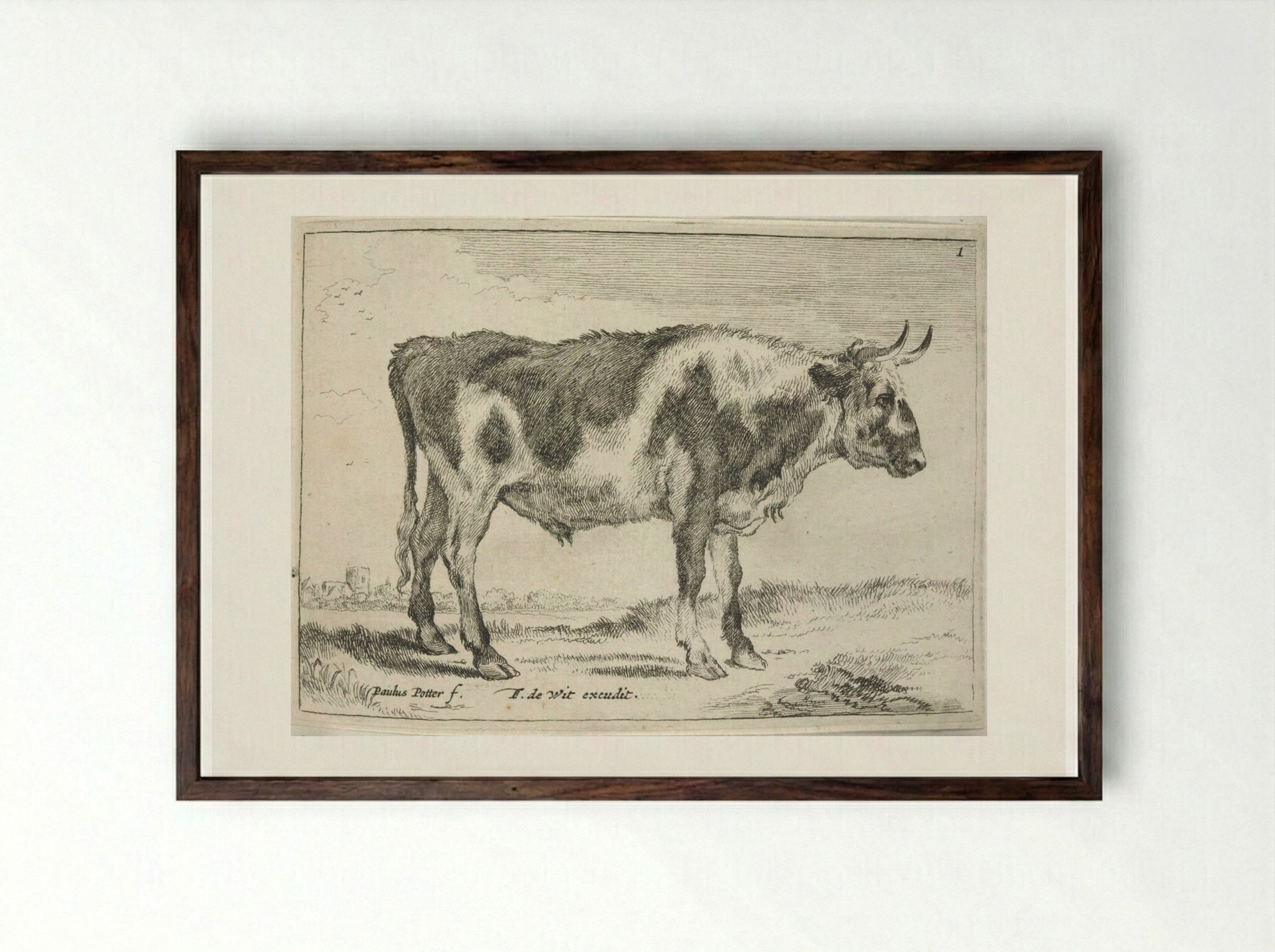 Spotted Steer - Johannes Visscher - Framed Print Dark Wood