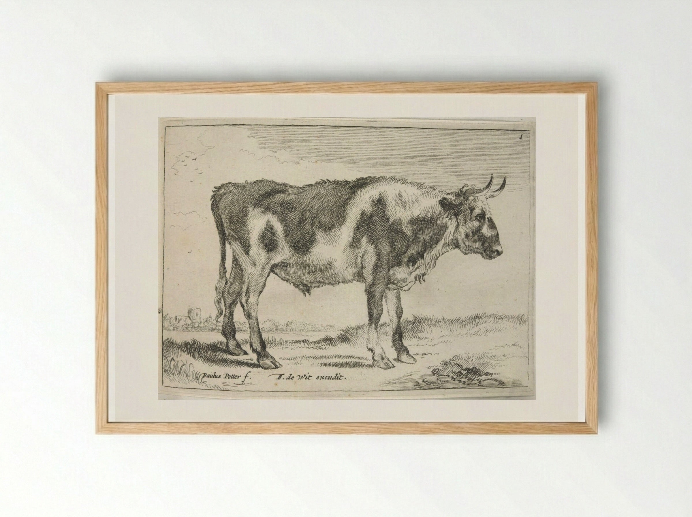 Spotted Steer - Johannes Visscher - Framed Print Wood