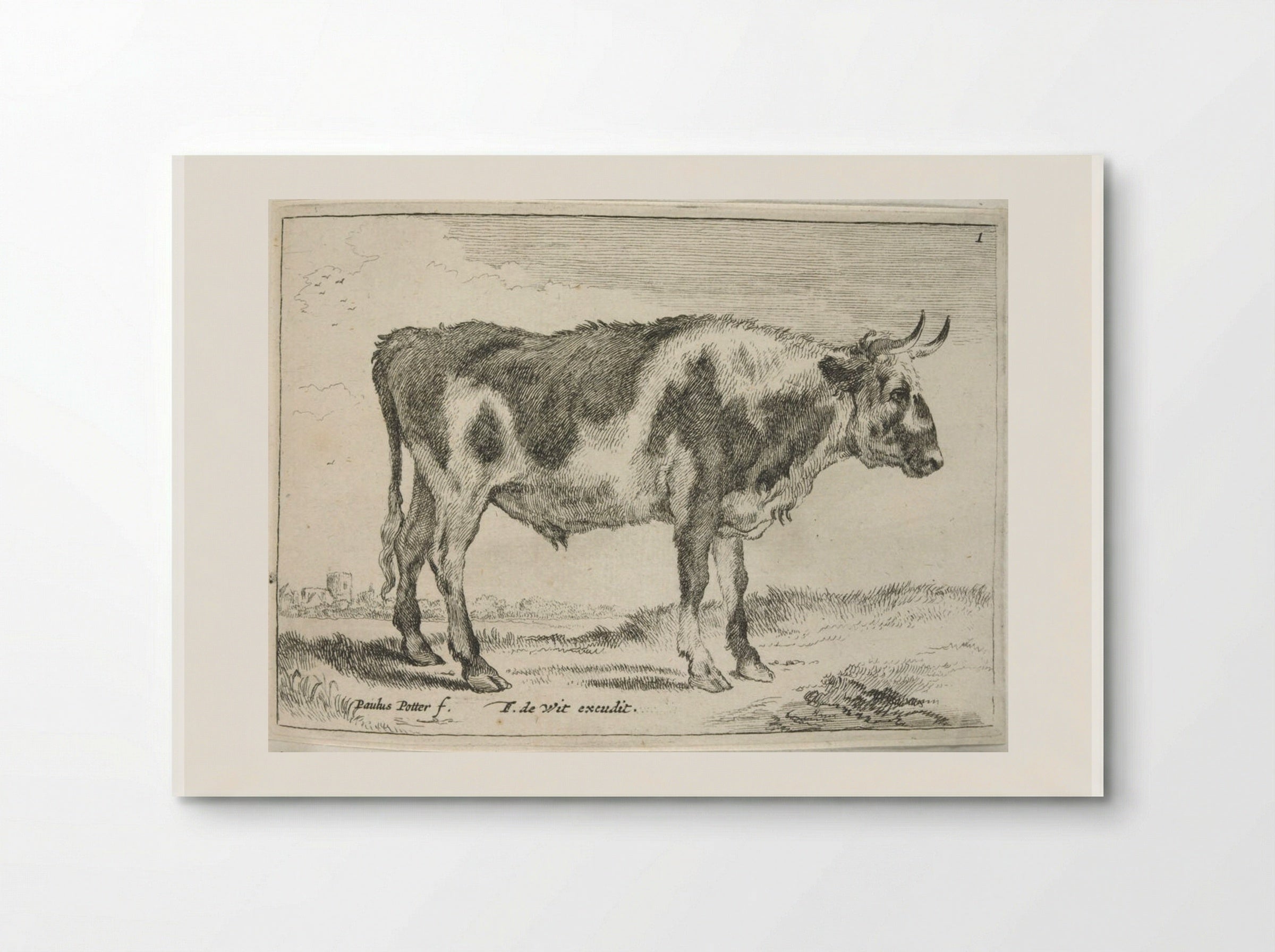 Spotted Steer - Johannes Visscher - Poster