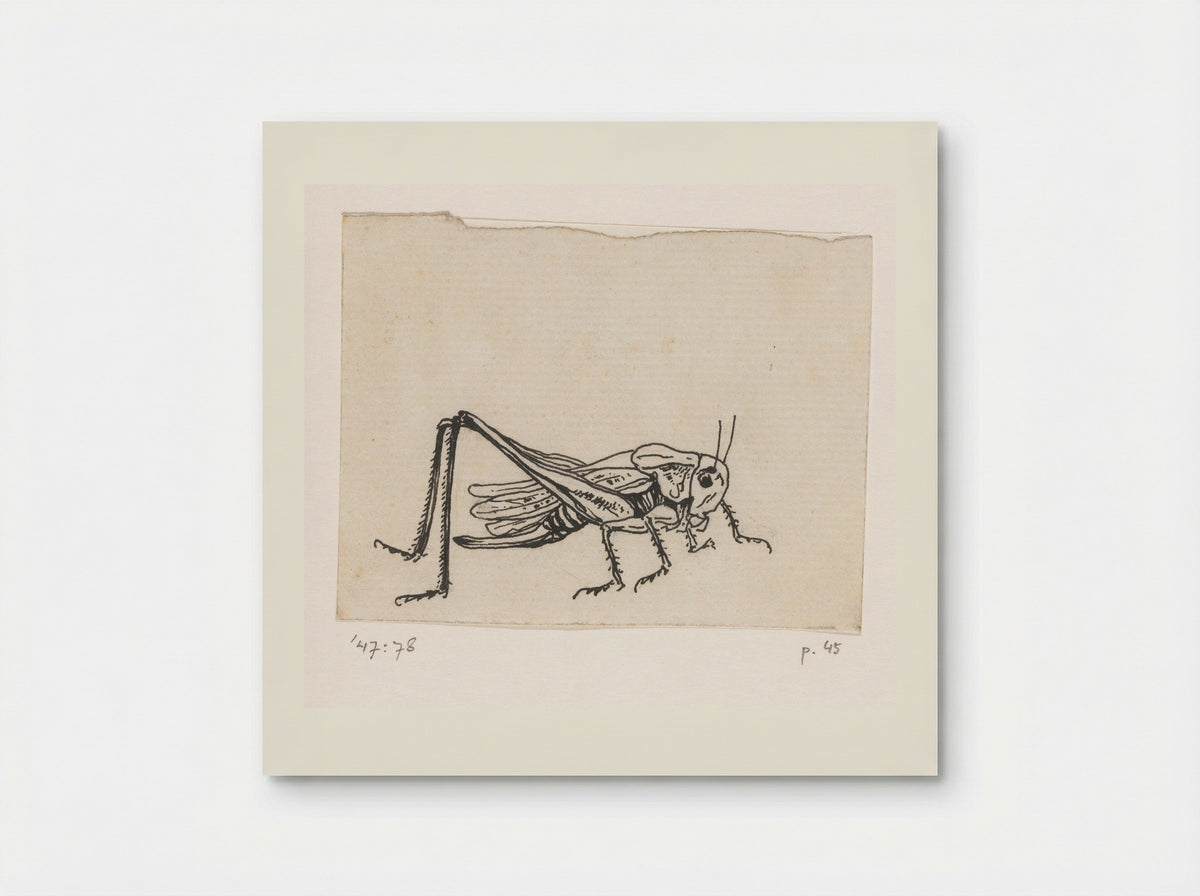 Sprinkhaan - Willem Wenckebach - Poster