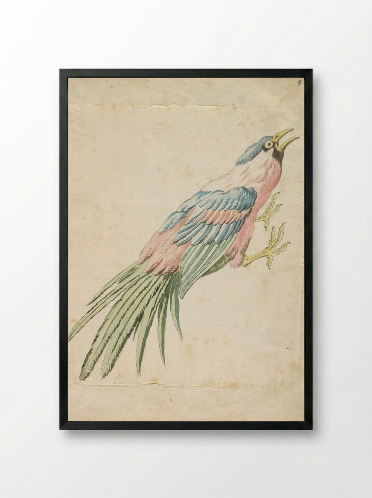 Squawking Bird with Talons Extended to the Right - Jean-Baptiste Oudry - Framed Print Black