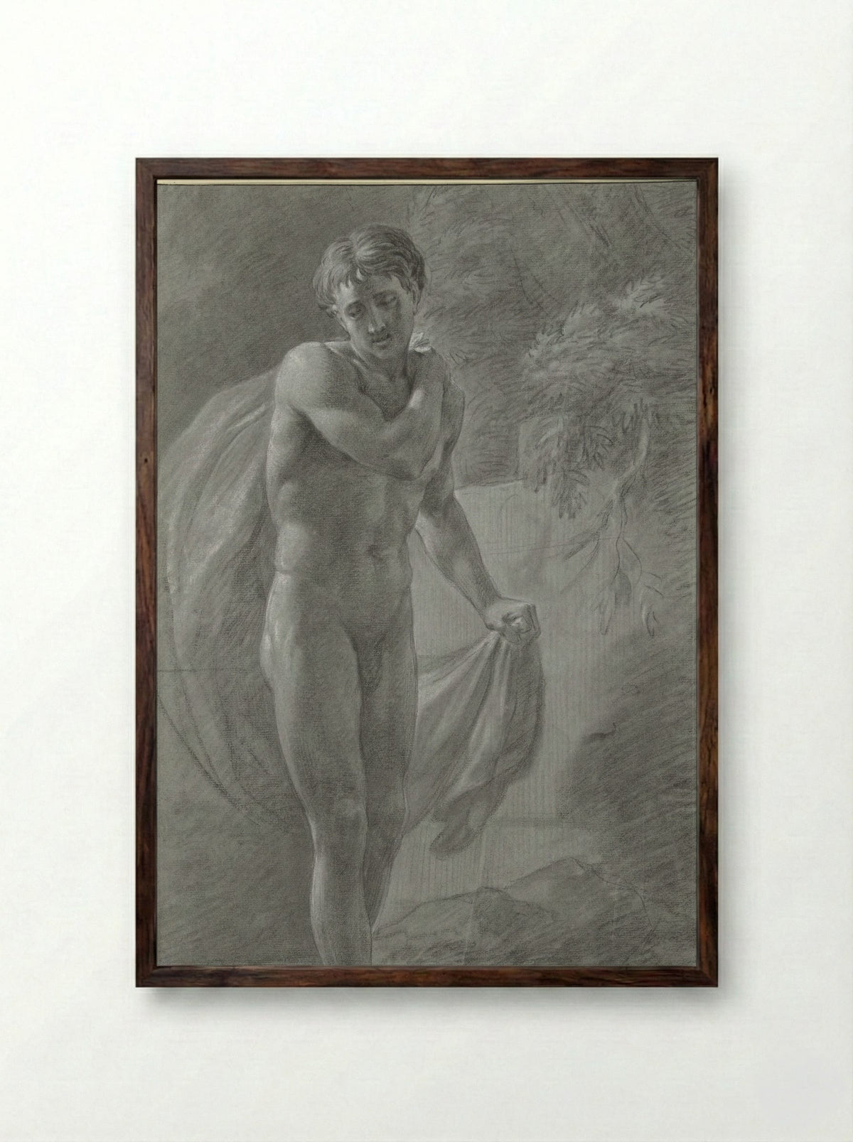 Staand mannelijk naakt met een doek, van voren - Jean Grandjean - Framed Print Dark Wood