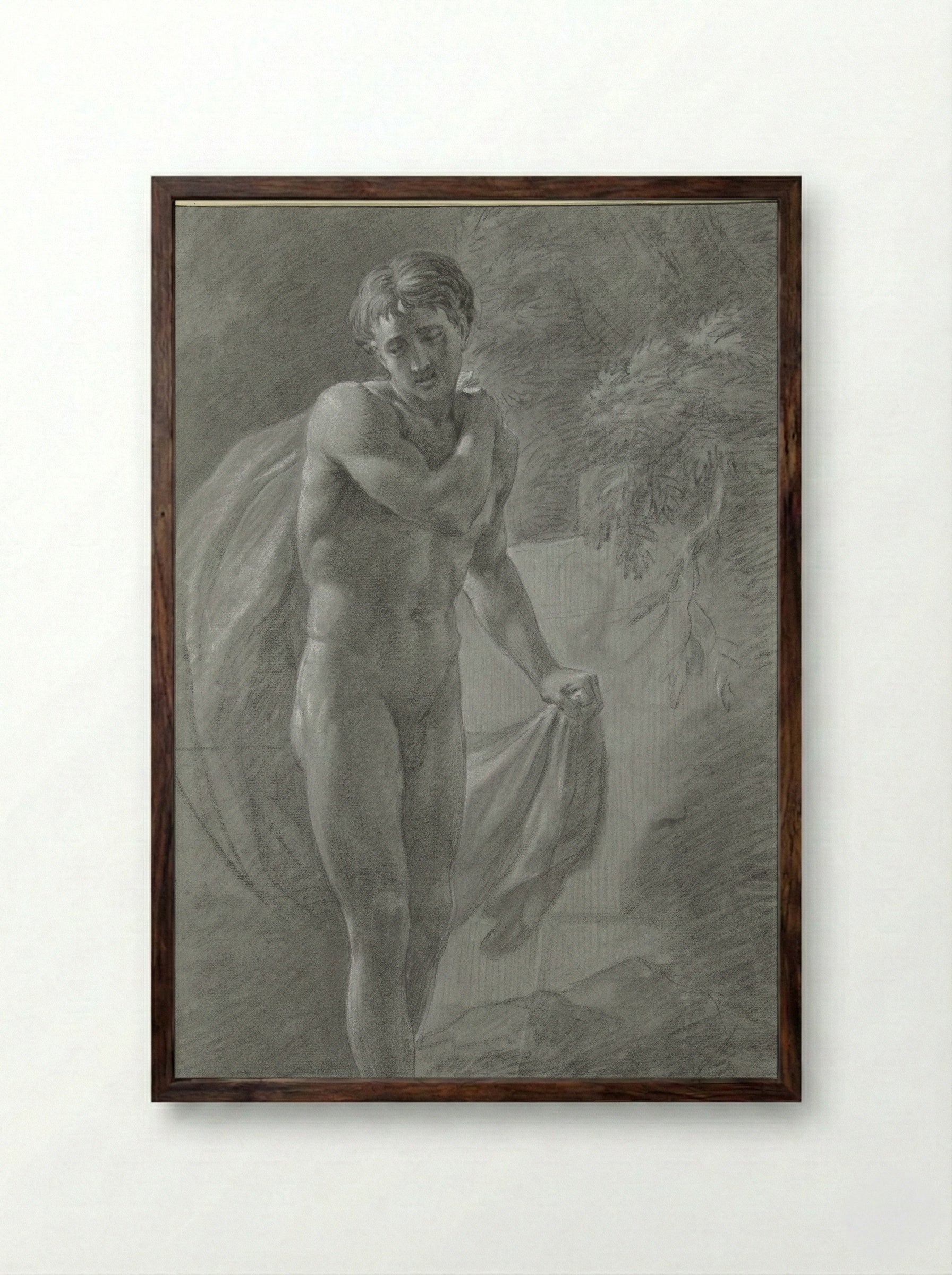 Staand mannelijk naakt met een doek, van voren - Jean Grandjean - Framed Print Dark Wood