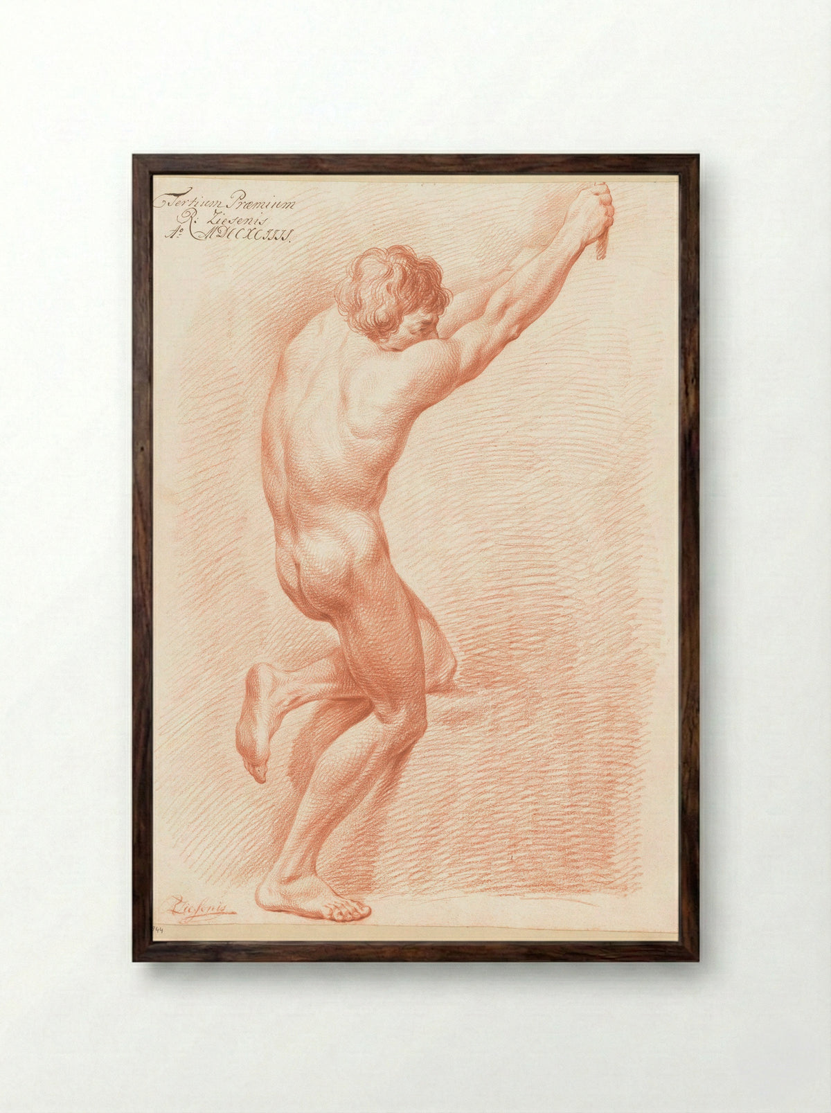 Staand mannelijk naakt, op de rug gezien (3e prijs 1794) - Reinier Ziesenis - Framed Print Dark Wood