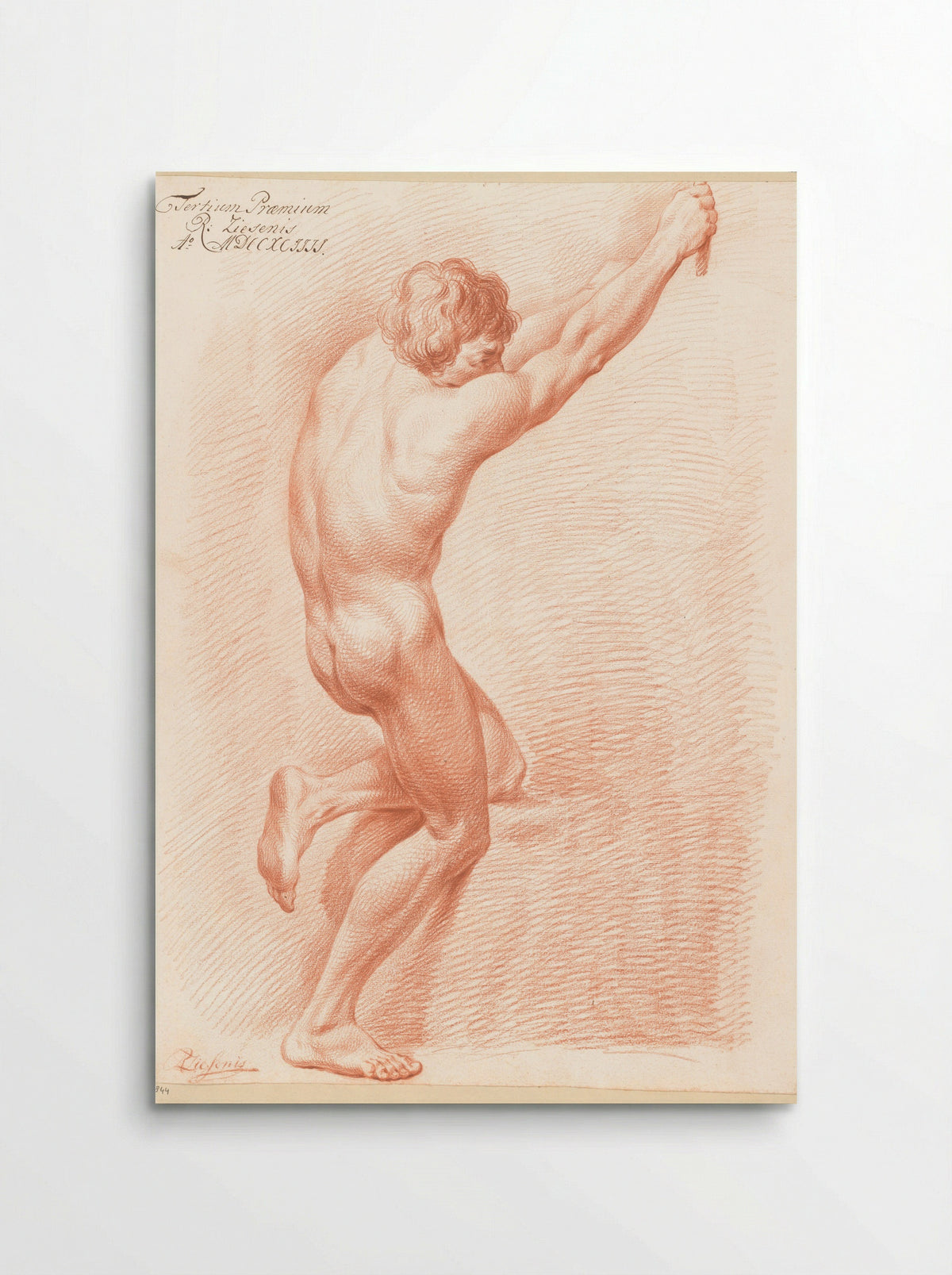 Staand mannelijk naakt, op de rug gezien (3e prijs 1794) - Reinier Ziesenis - Poster