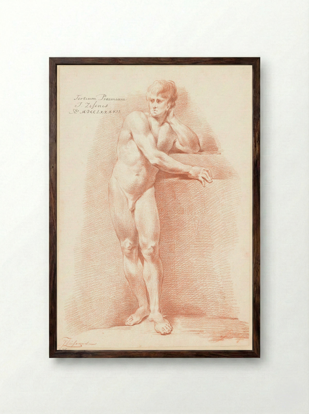 Staand mannelijk naakt, van voren gezien (3e prijs 1787) - Johannes Ziesenis - Framed Print Dark Wood