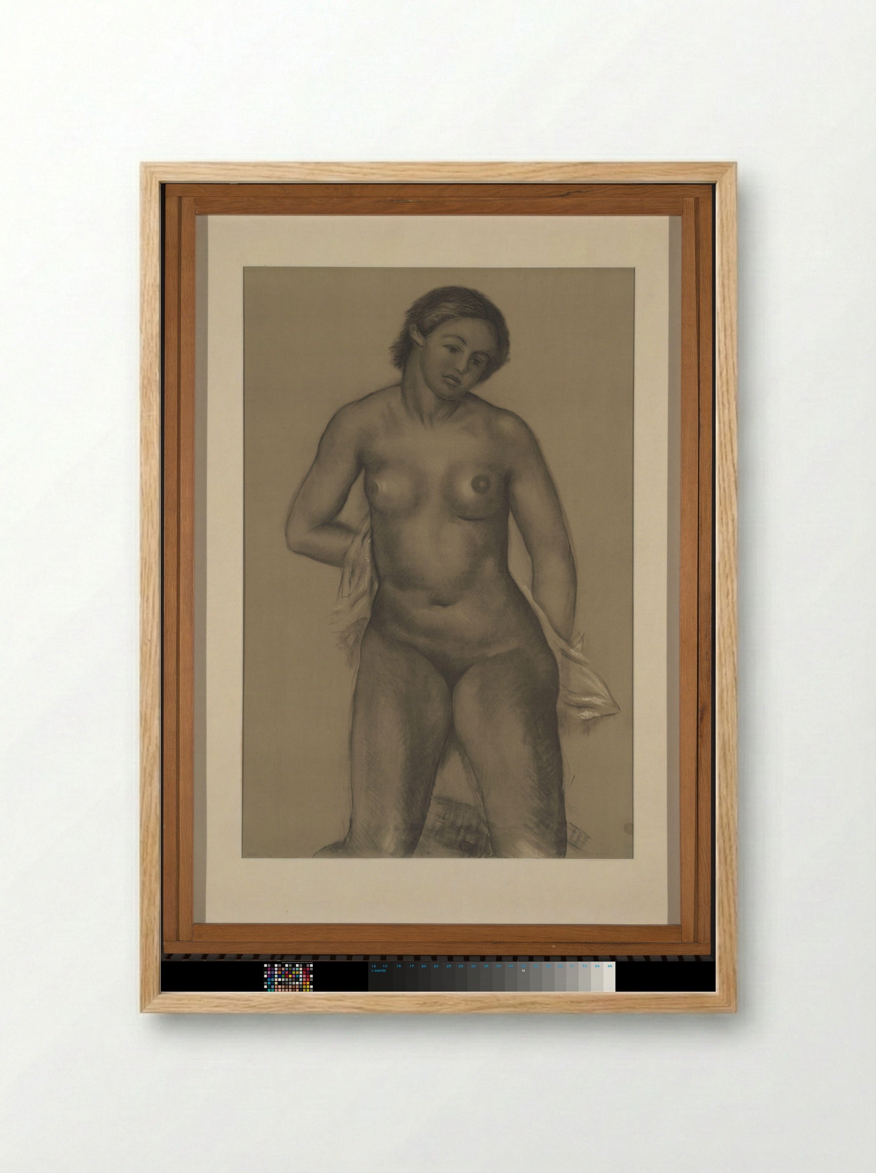 Staand vrouwelijk naakt - Aristide Maillol - Framed Print Wood
