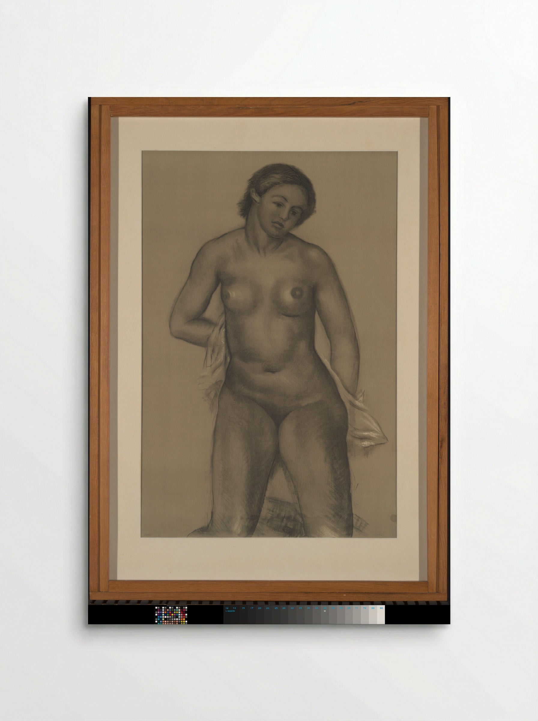 Staand vrouwelijk naakt - Aristide Maillol - Poster