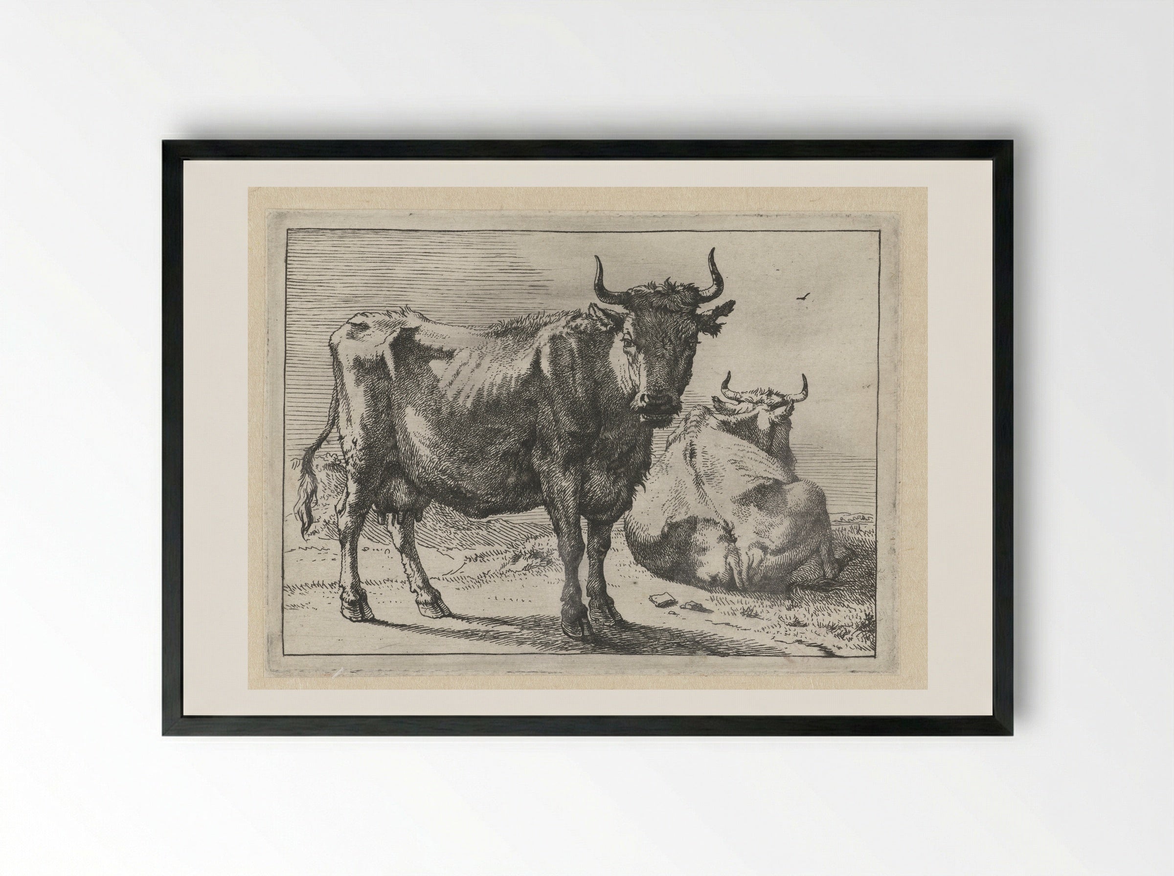 Staande en liggende koe - Paulus Potter - Framed Print Black
