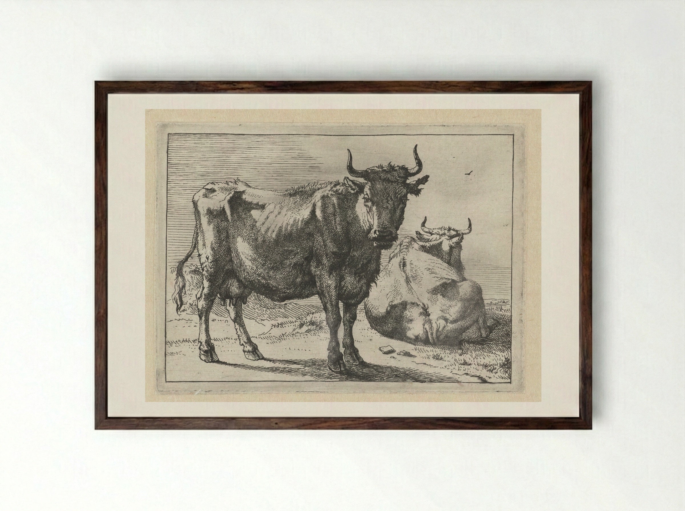 Staande en liggende koe - Paulus Potter - Framed Print Dark Wood