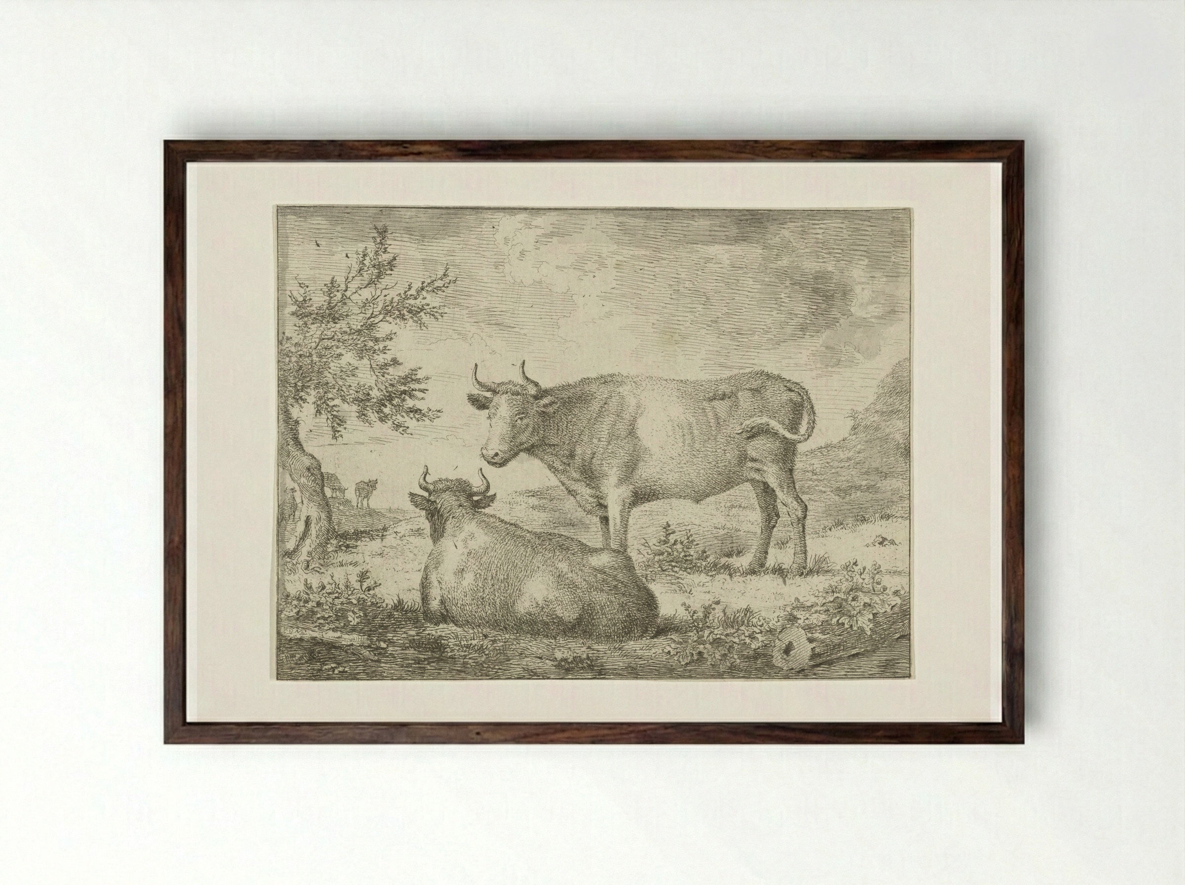 Staande en liggende koe - Cornelis van Noorde - Framed Print Dark Wood