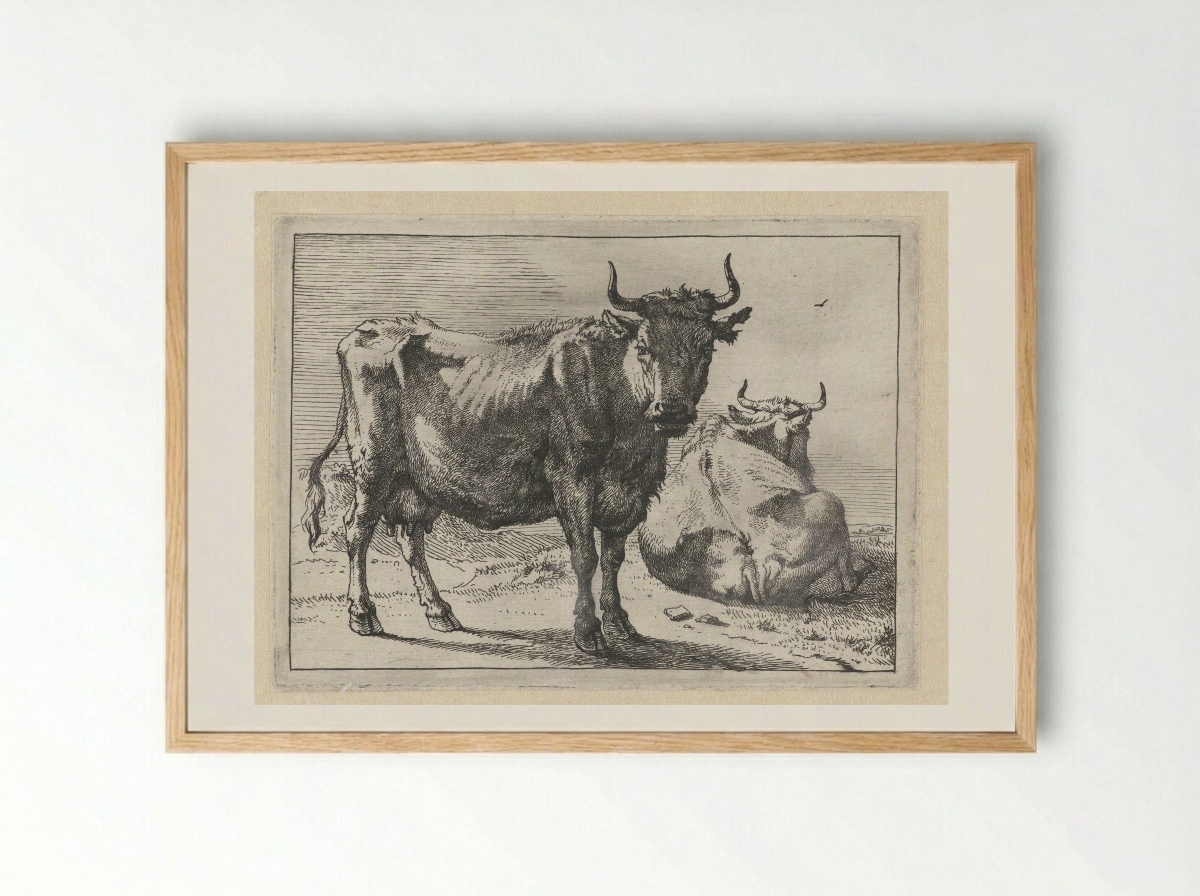 Staande en liggende koe - Paulus Potter - Framed Print Wood