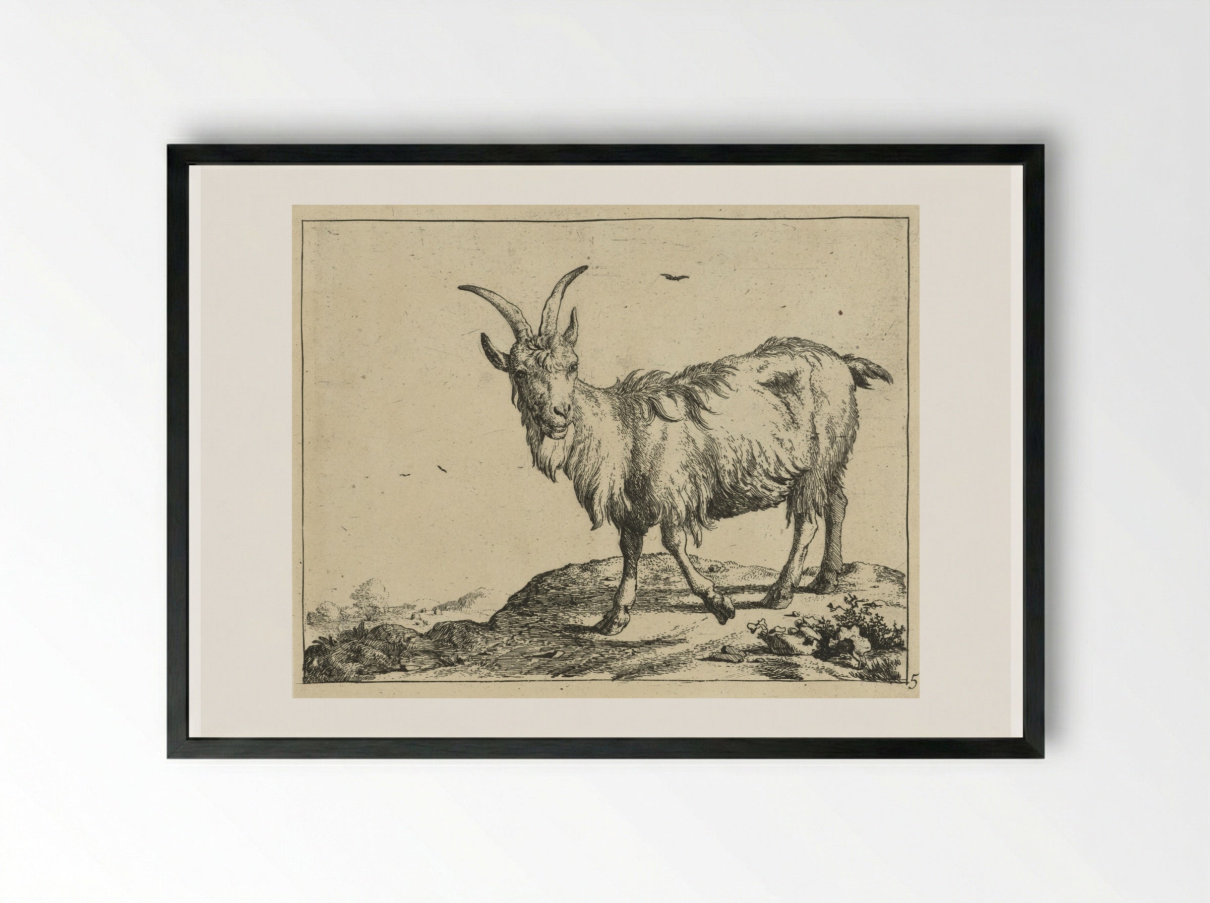 Staande geit van voren - Marcus de Bye - Framed Print Black