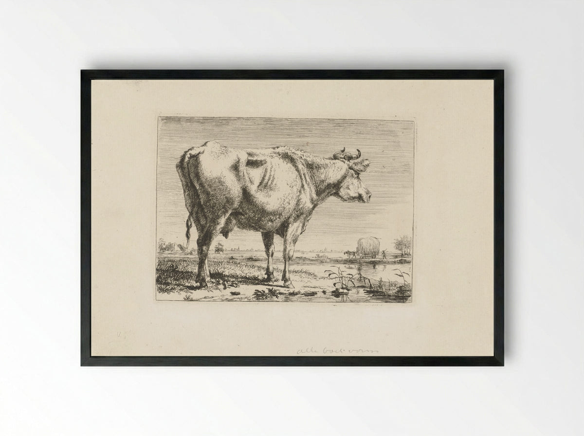 Staande koe (Standing Cow) - Pieter Gerardus van Os - Framed Print Black